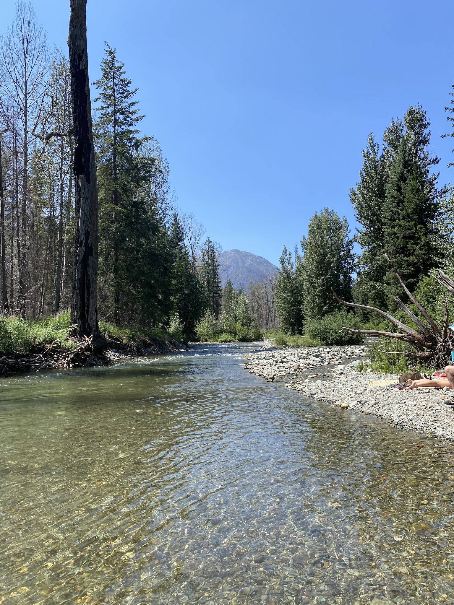 Poplar Flat Campground
