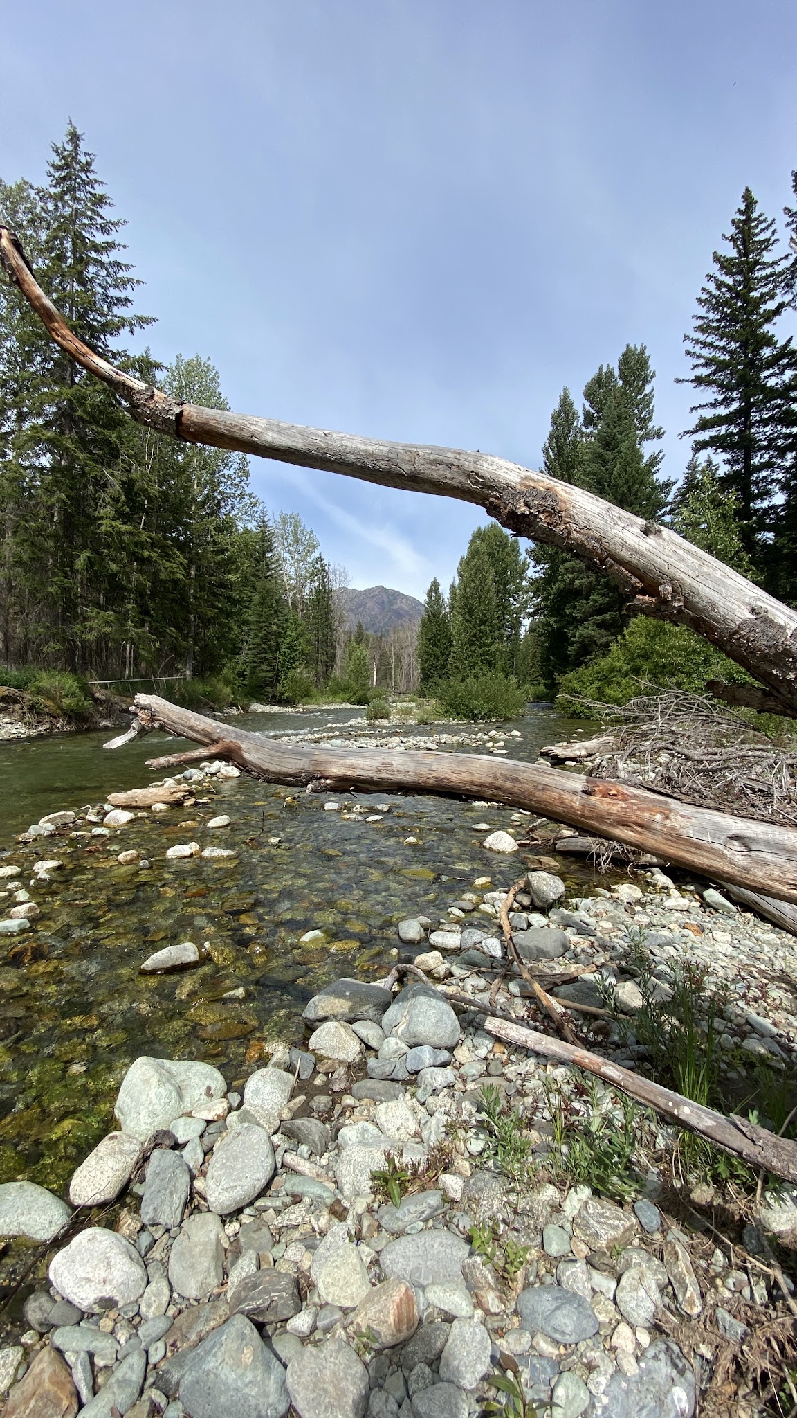 Poplar Flat Campground