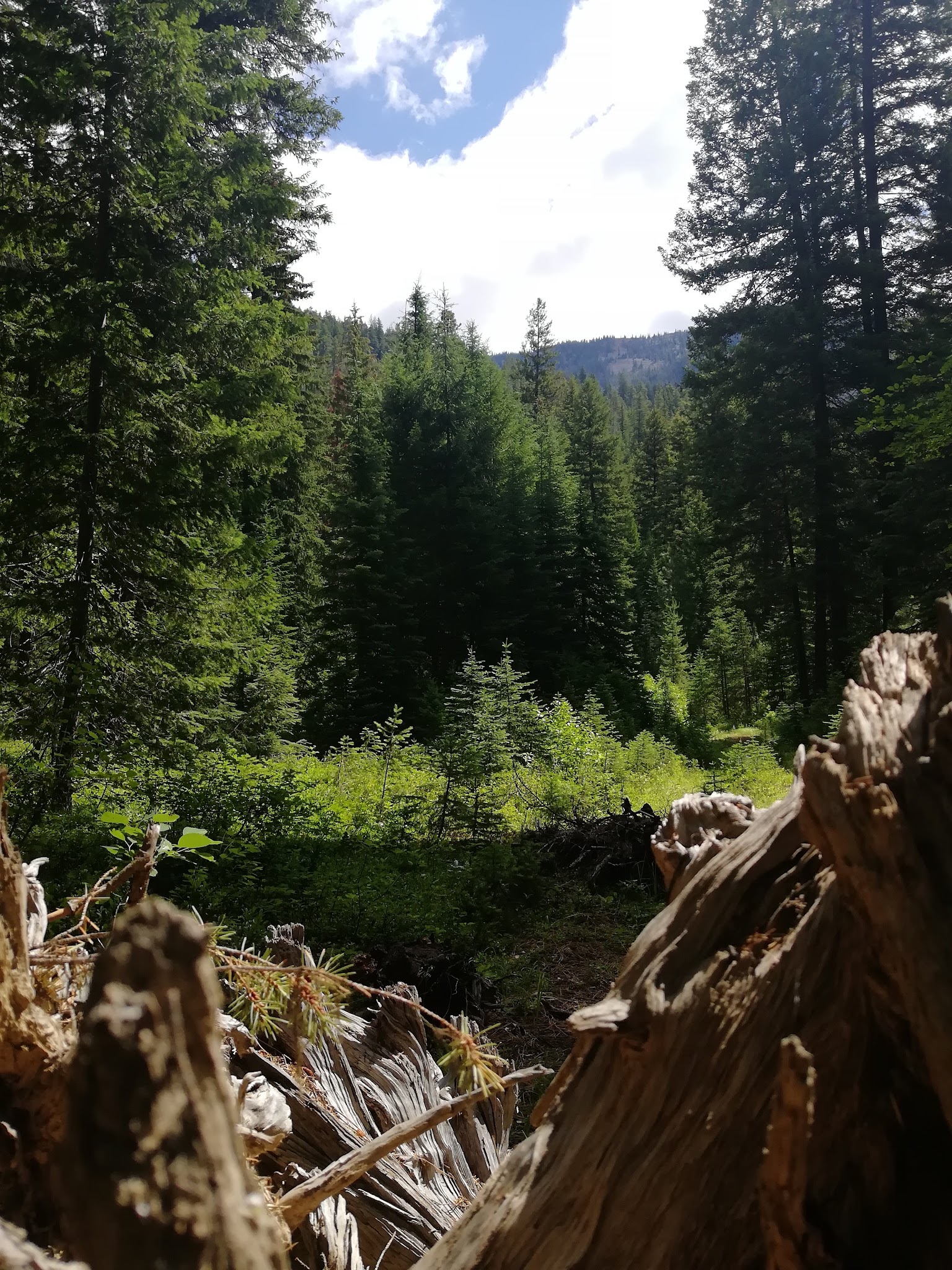 Poplar Flat Campground