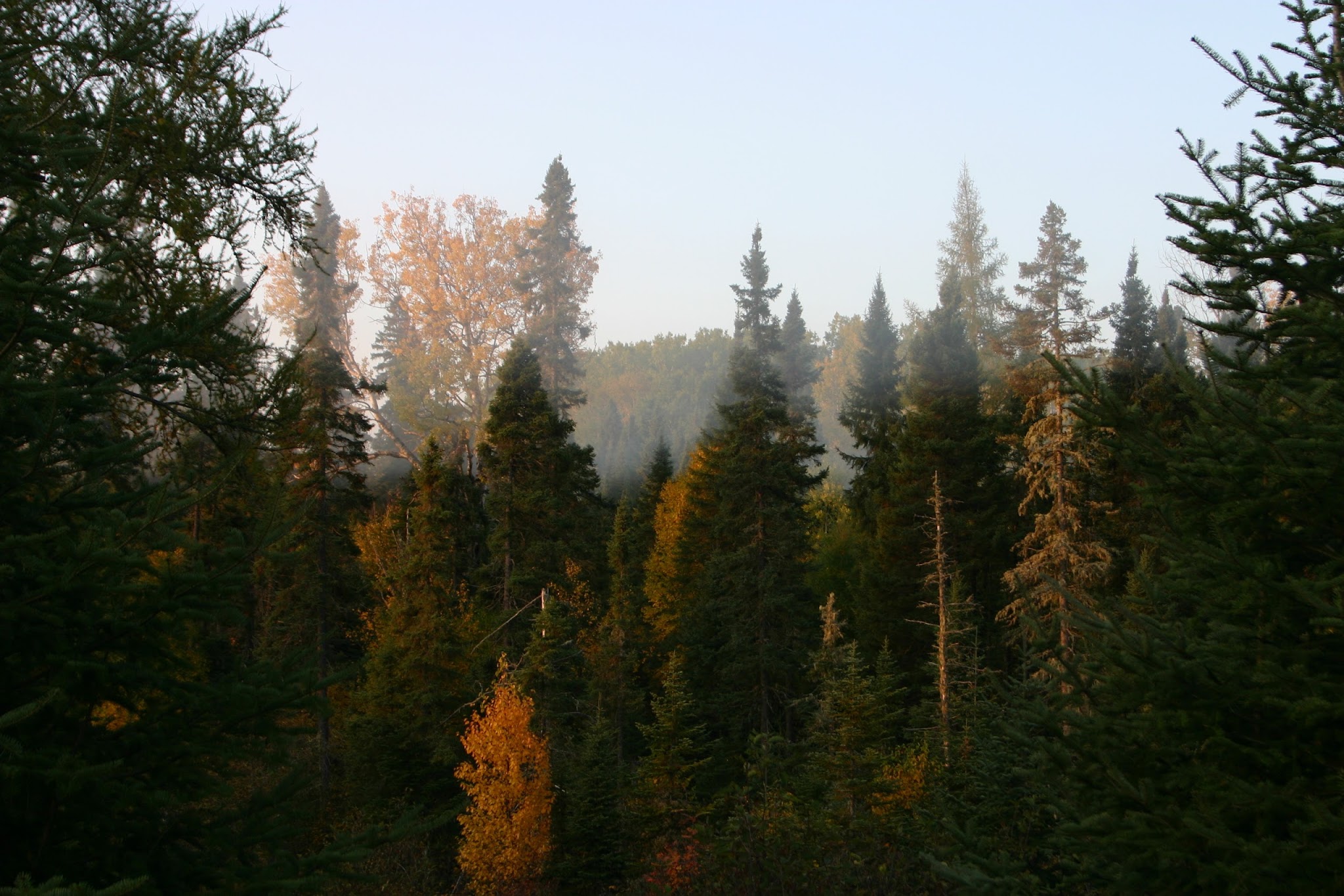 Poplar River Rustic Campground