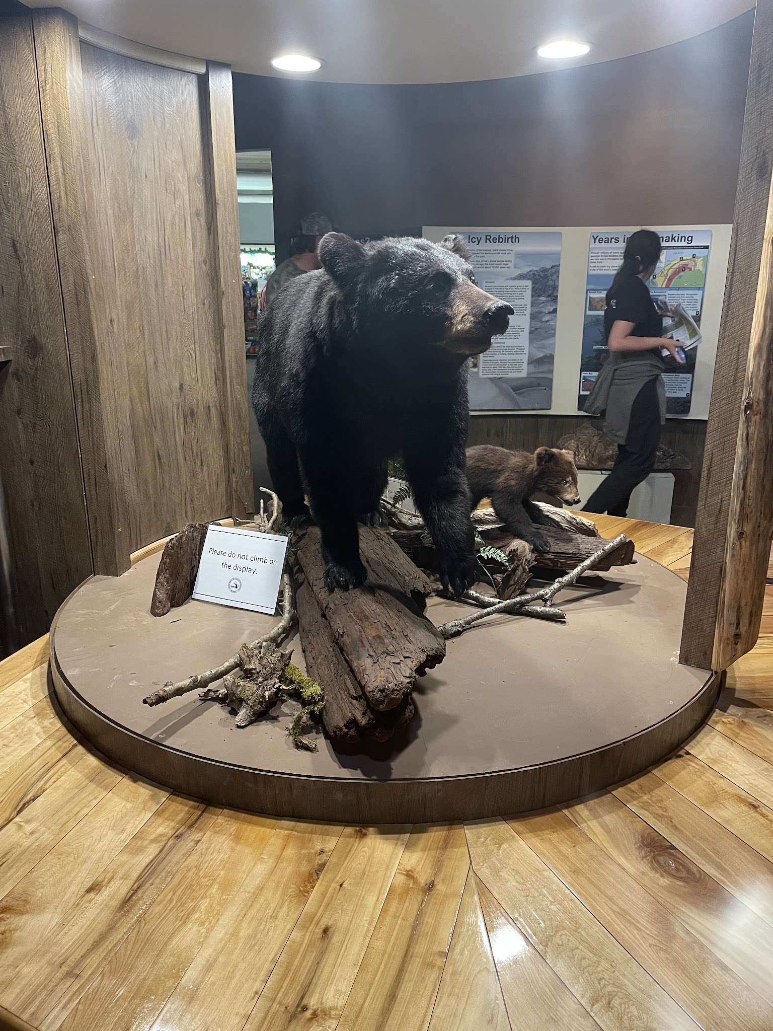 Porcupine Mountains-Presque Isle Campground