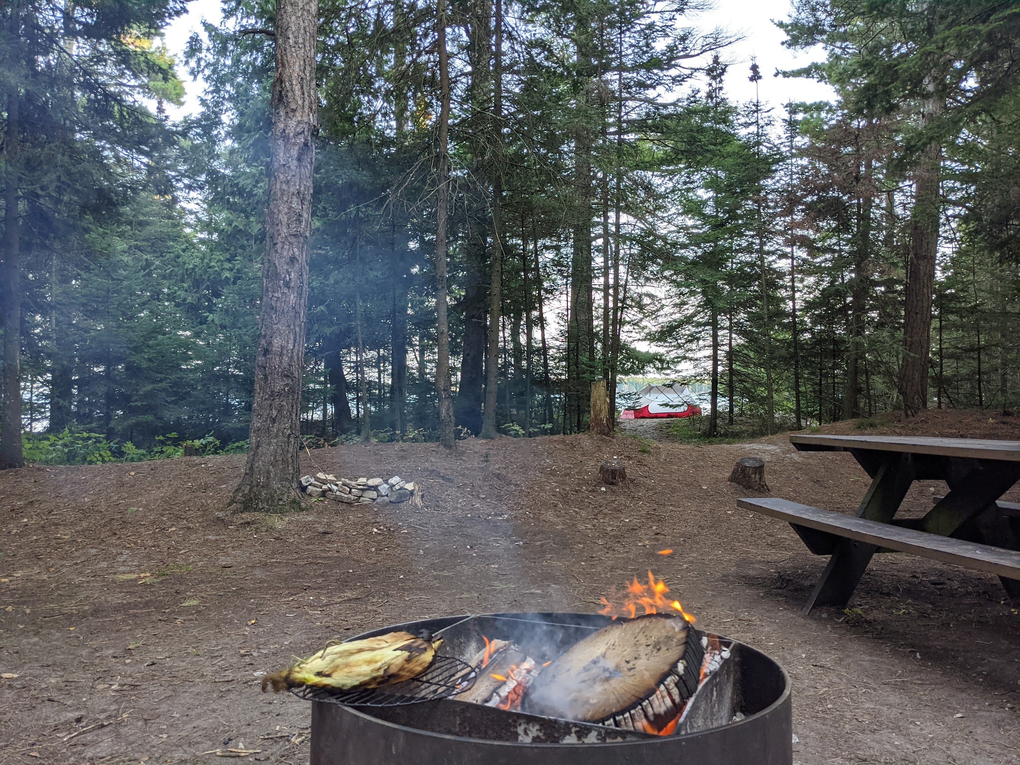 Portage Bay State Forest Campground