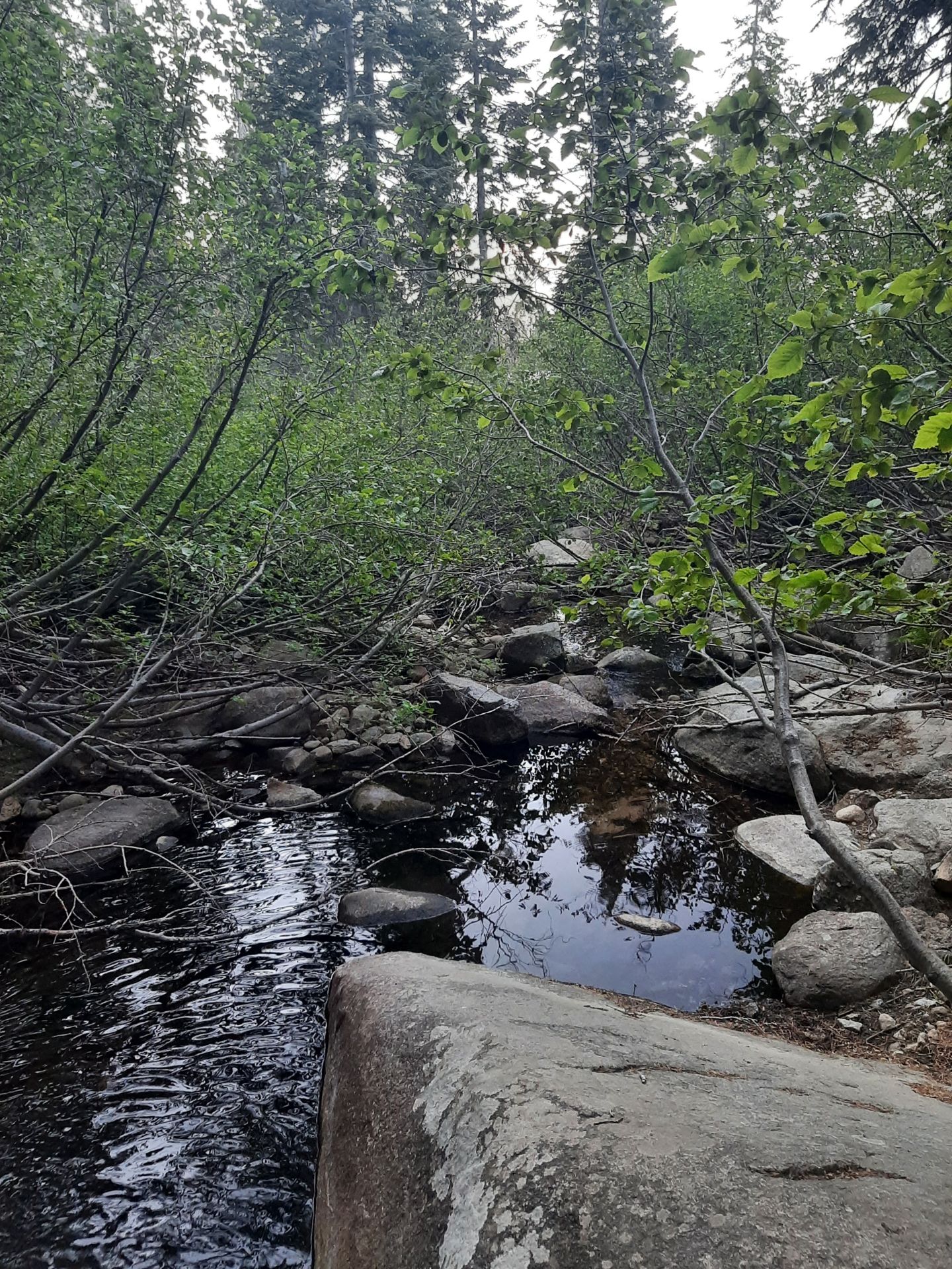Portal Forebay Campground