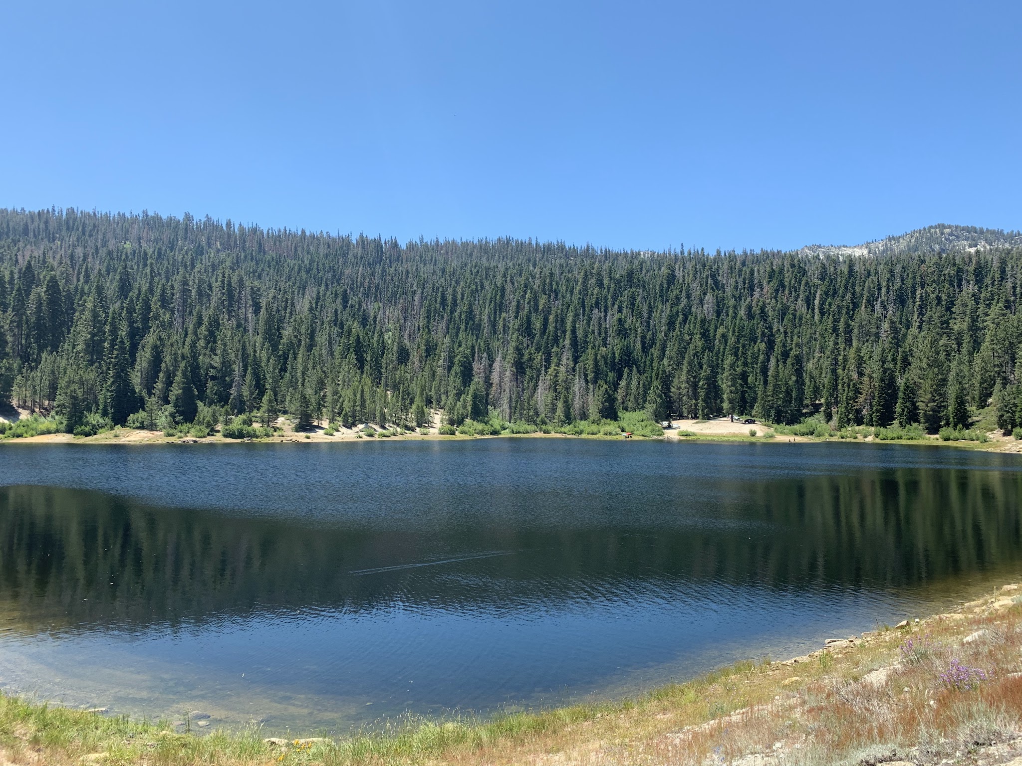 Portal Forebay Campground