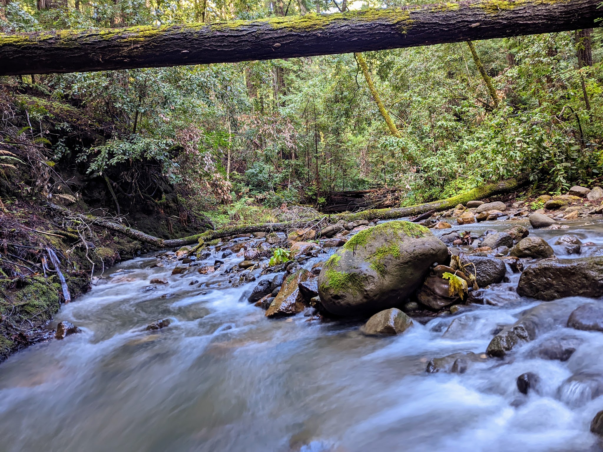 Family Walk in Campground