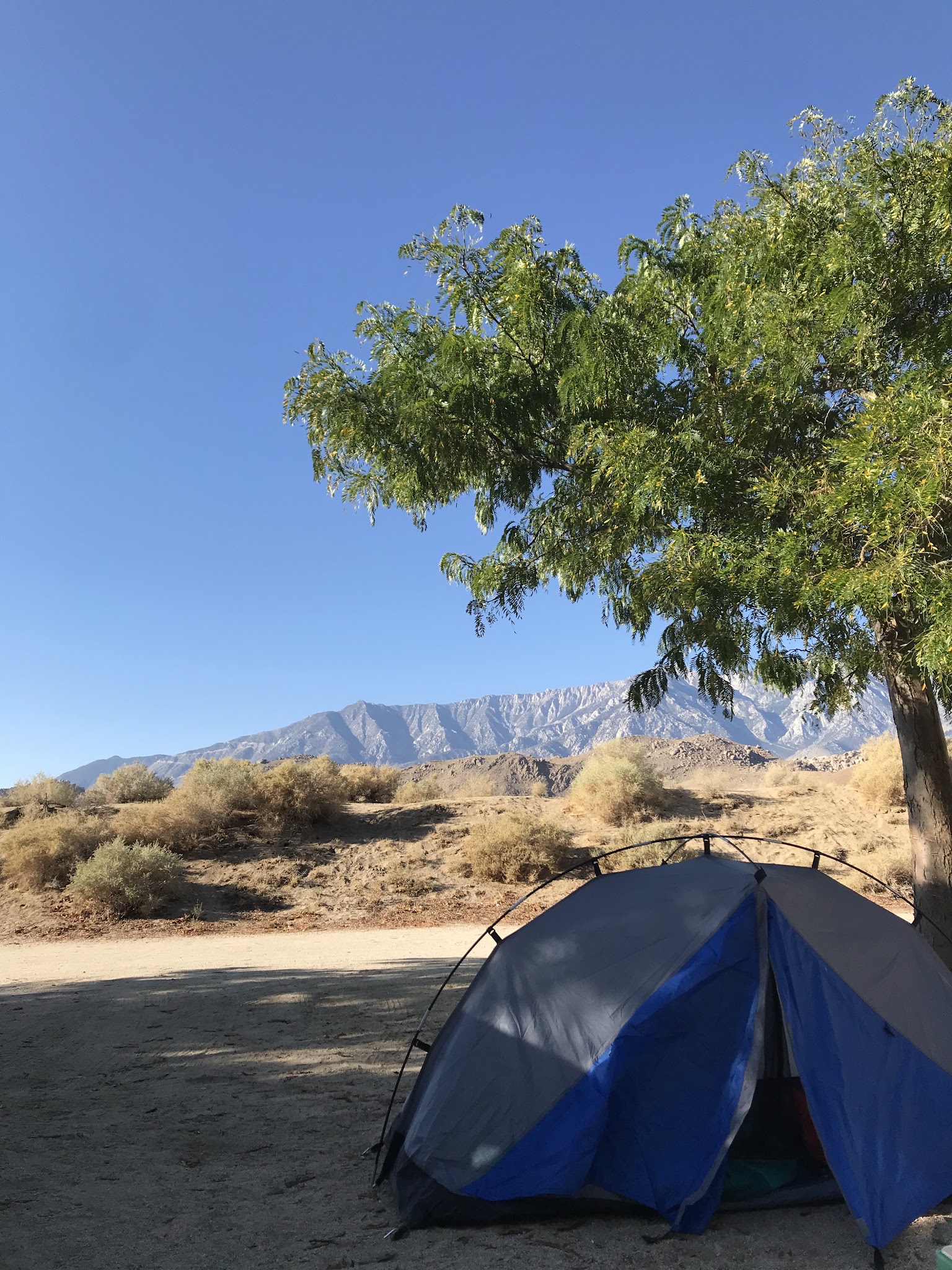 Portuguese Joe Campground