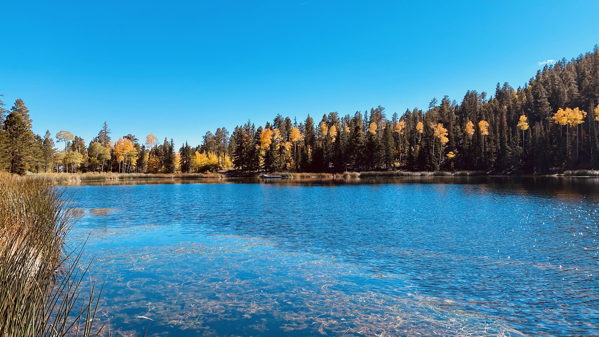 Boating Campgrounds in Utah