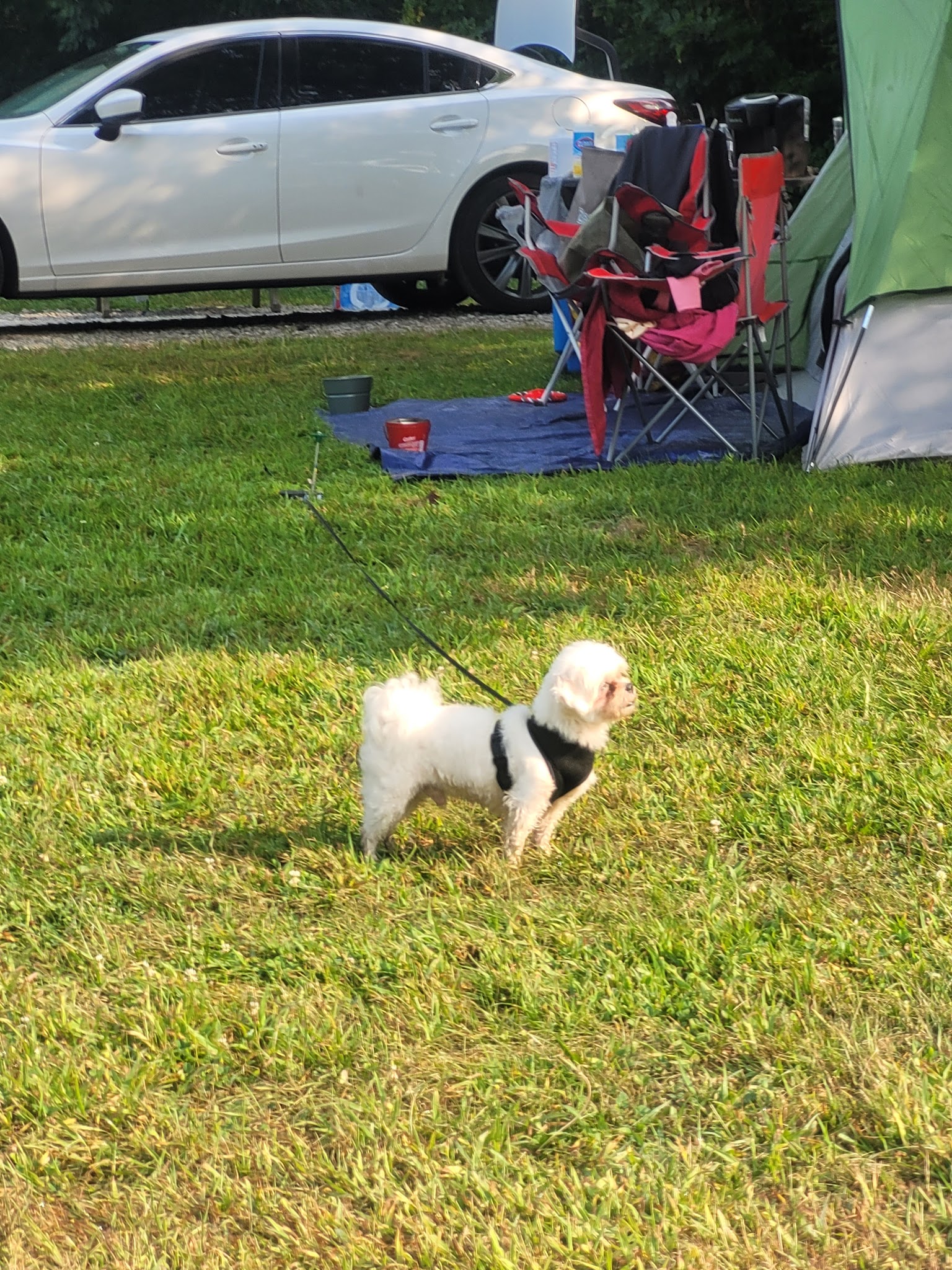Potato Creek State Park