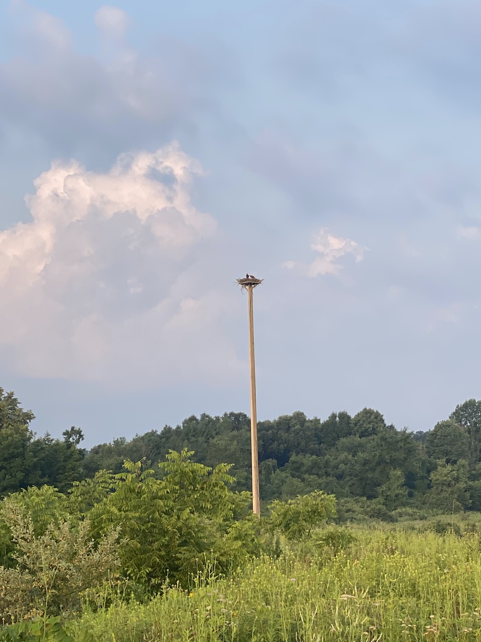 Potato Creek State Park