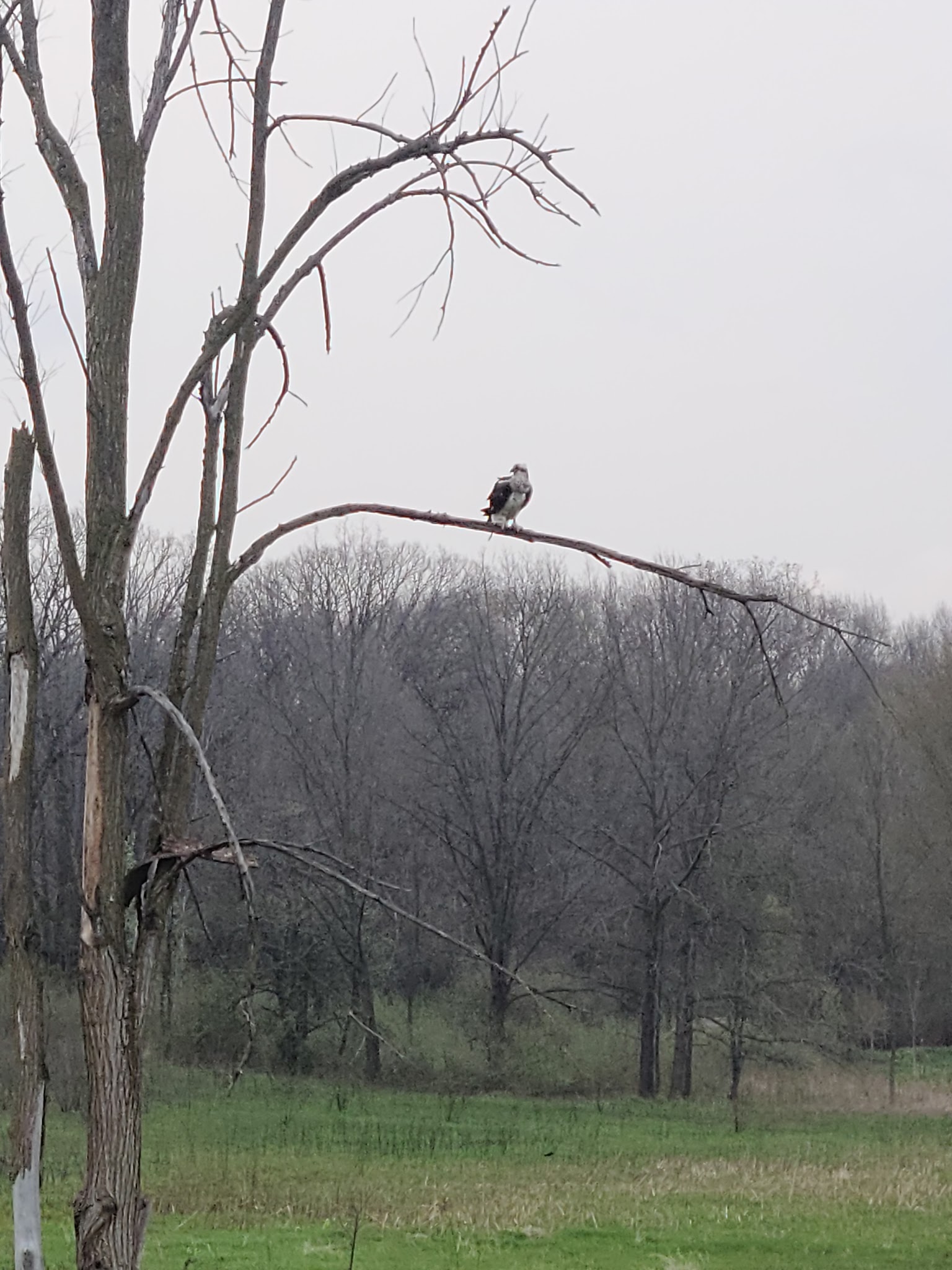 Potato Creek State Park