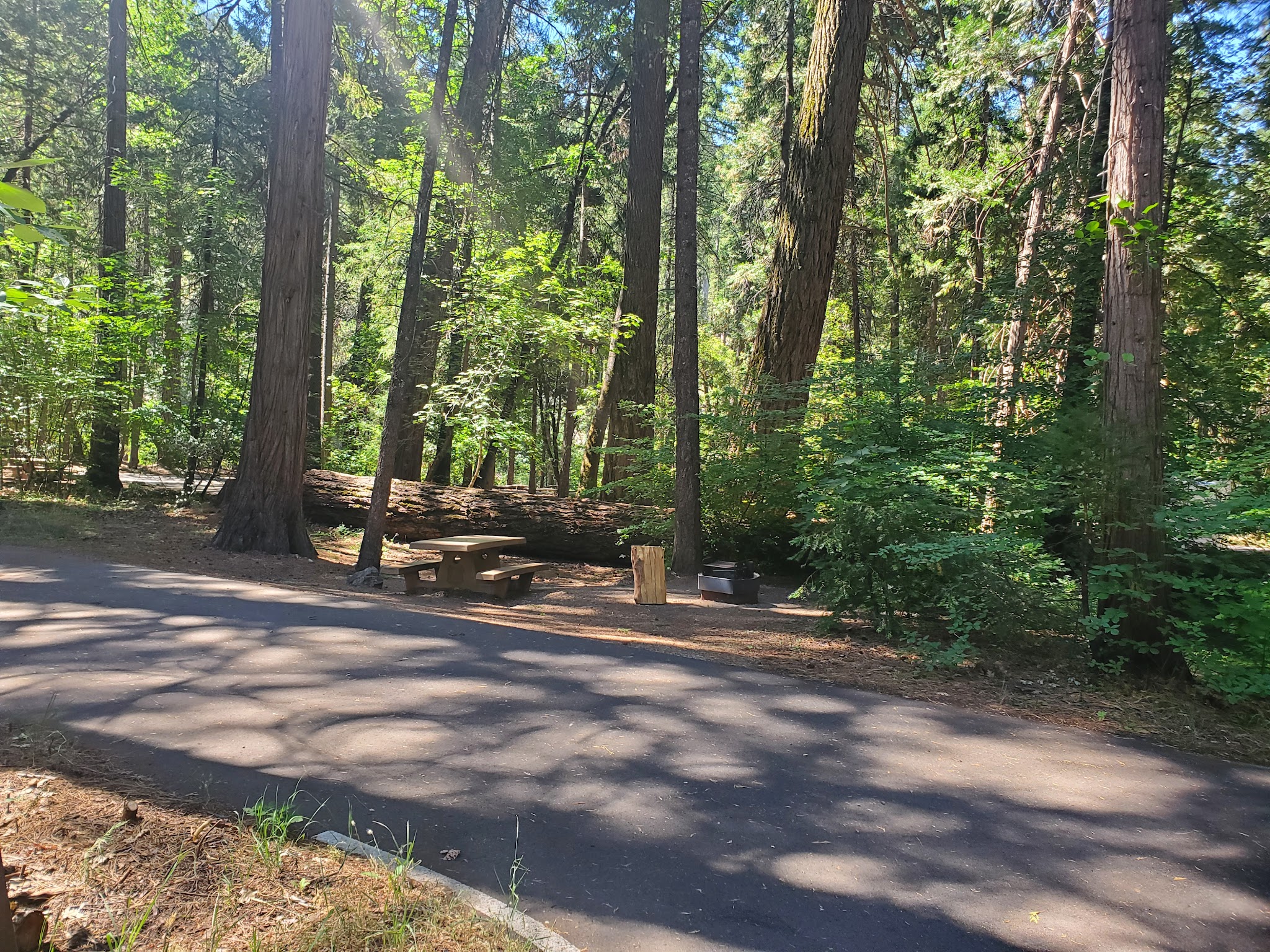 Potato Patch Campground