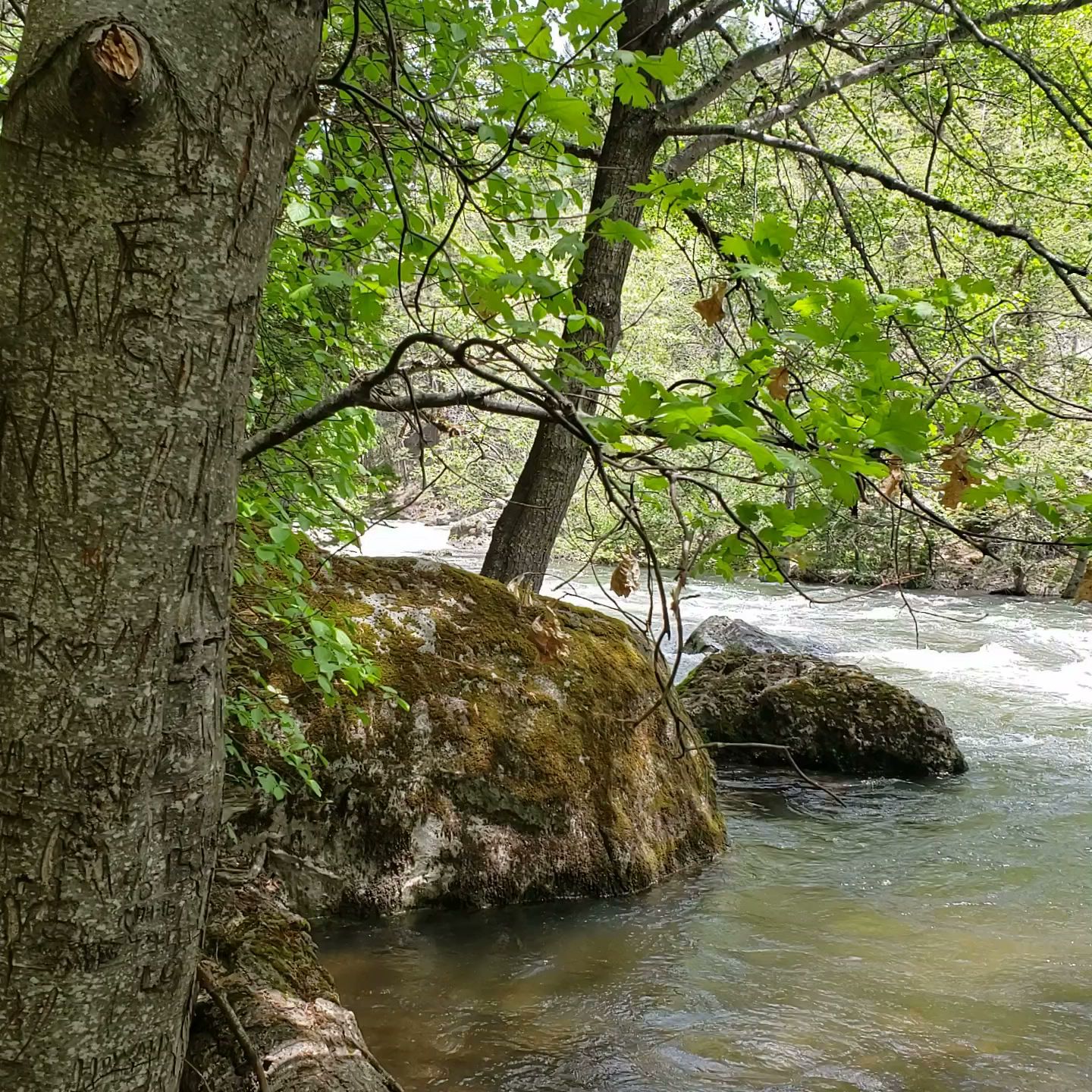 Potato Patch Campground