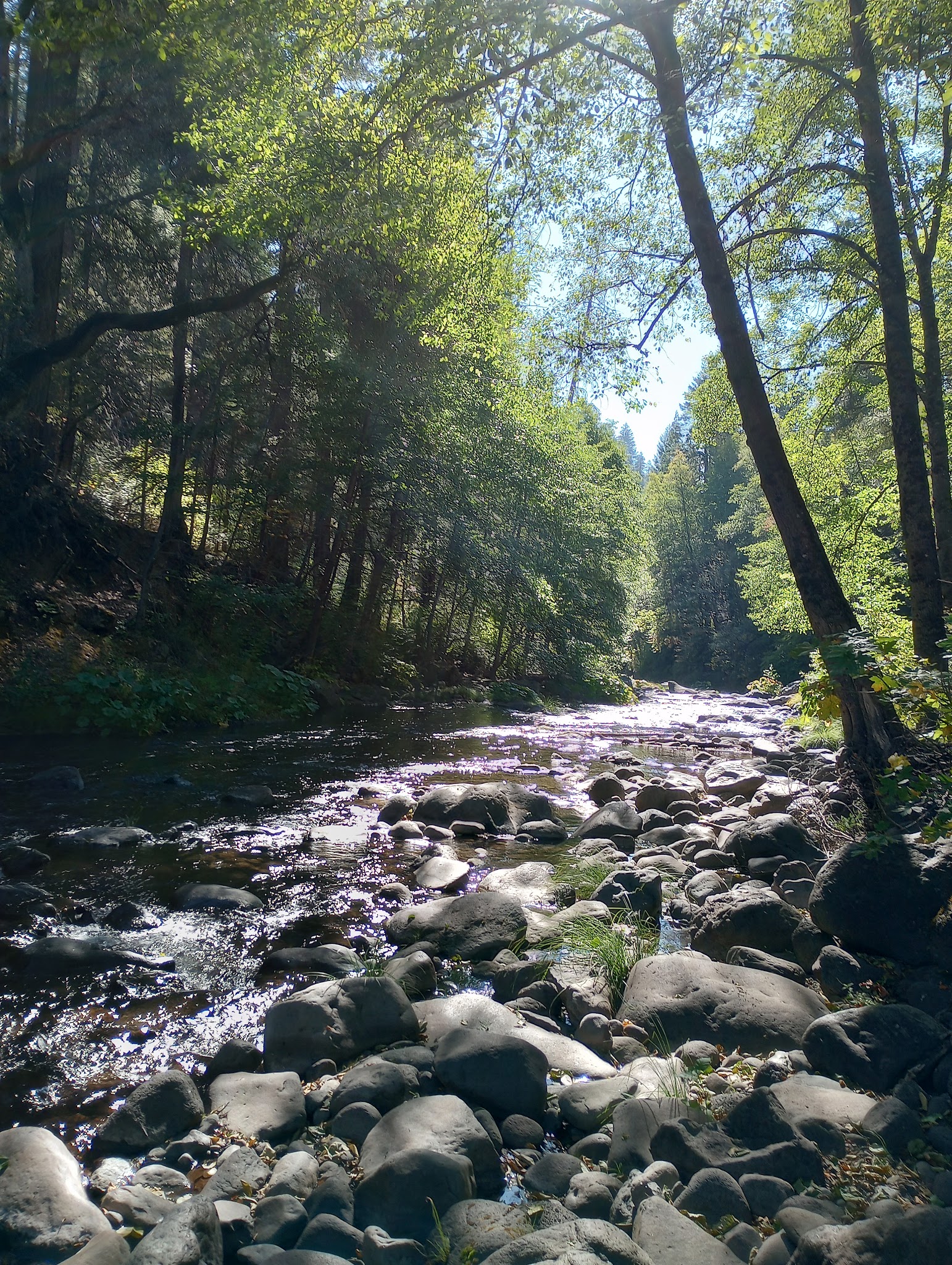 Potato Patch Campground
