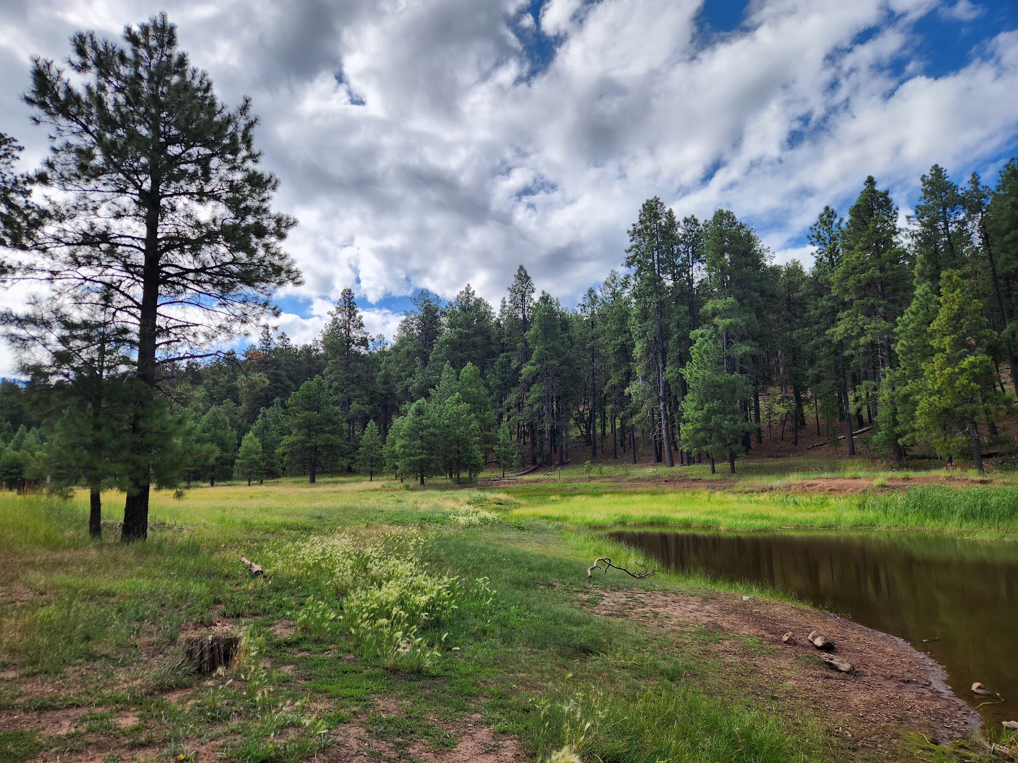 Potato Patch Campground