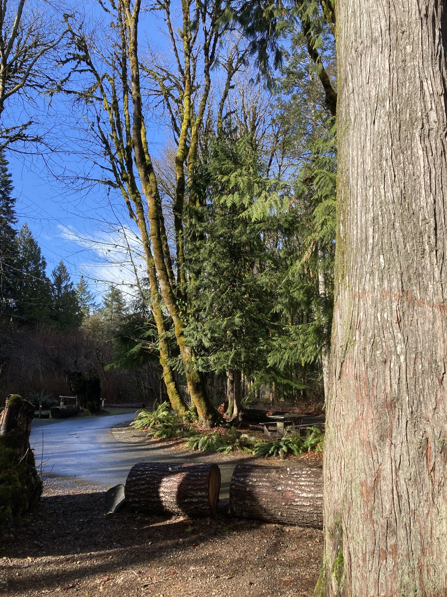 Potlatch State Park