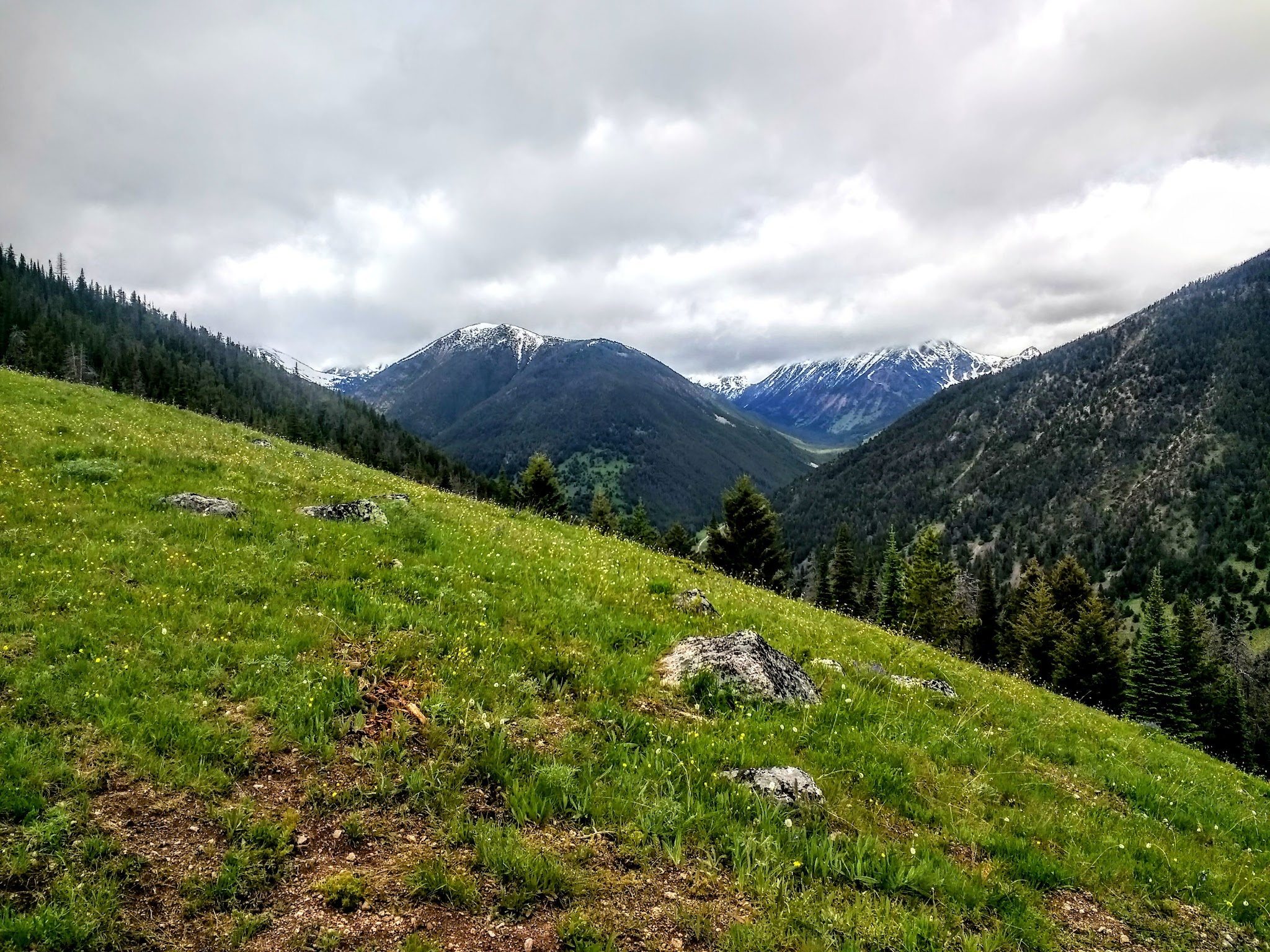 Potosi Campground And Picnic Area