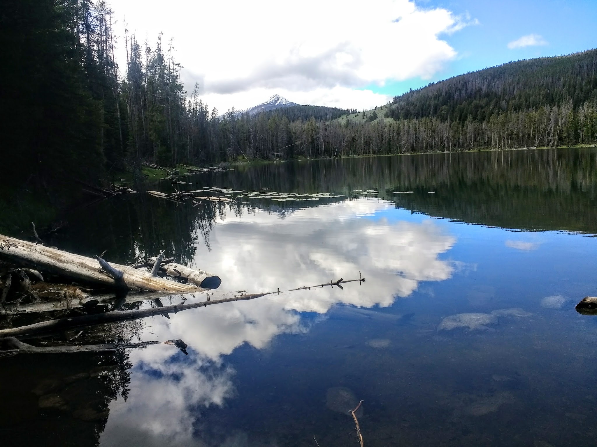 Potosi Campground And Picnic Area