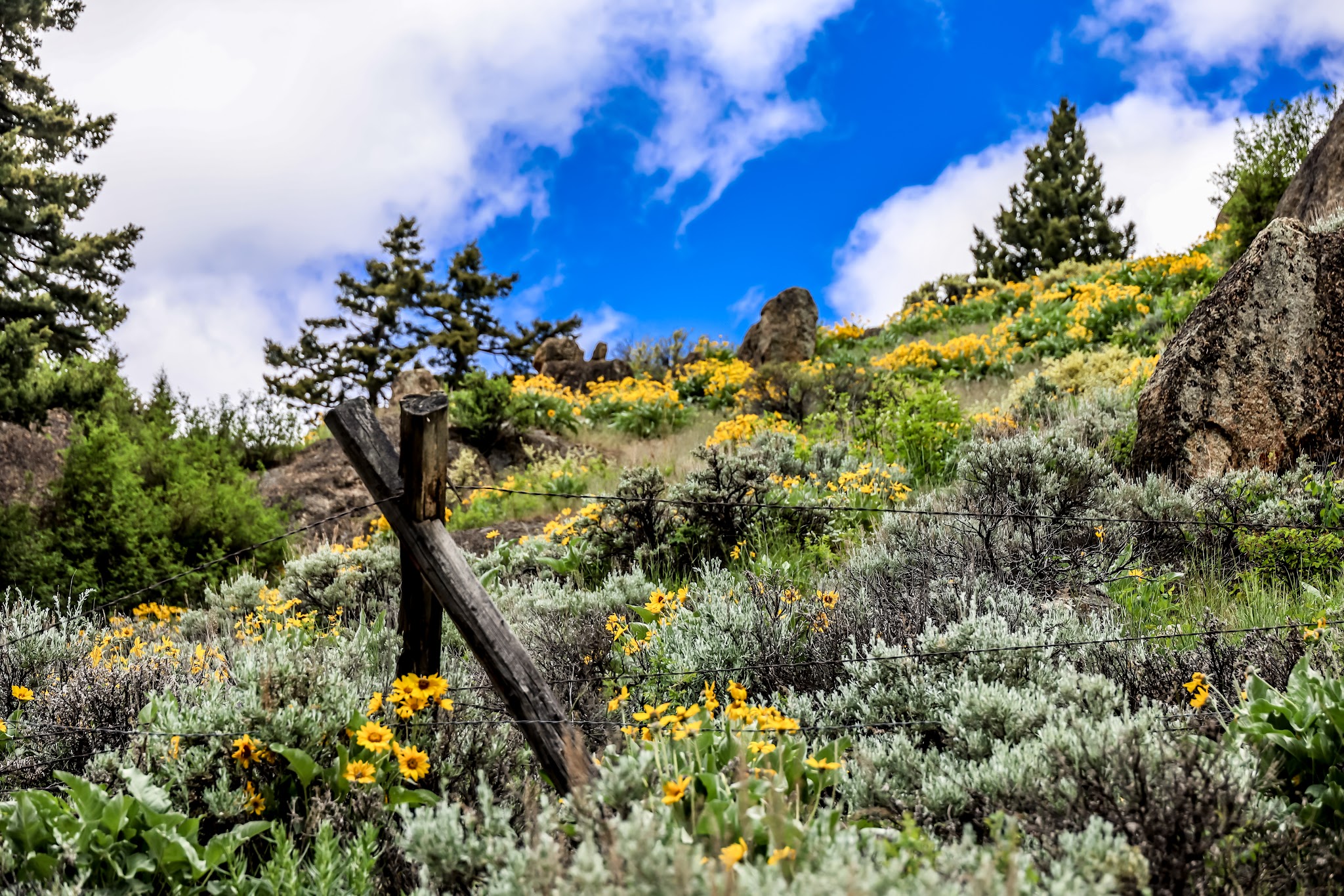 Potosi Campground And Picnic Area