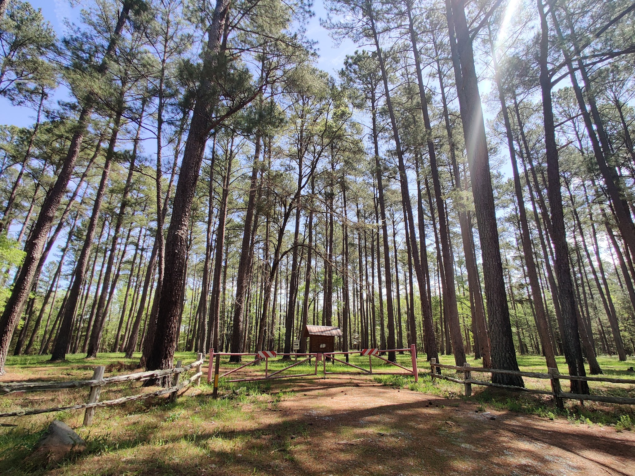 Poulous Loop Group Campground (Sc)