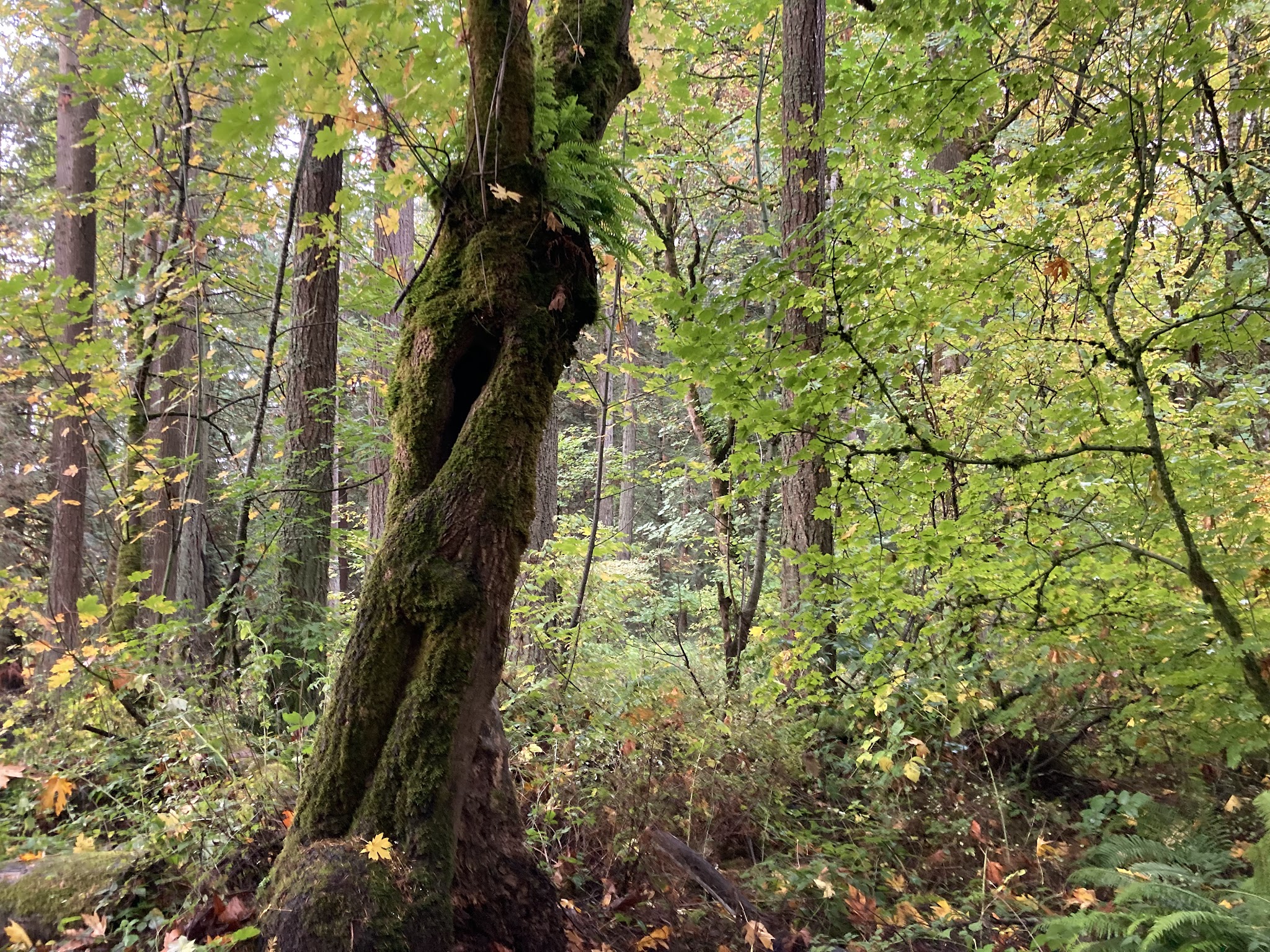 Sunshine Butte Natural Sup Campground