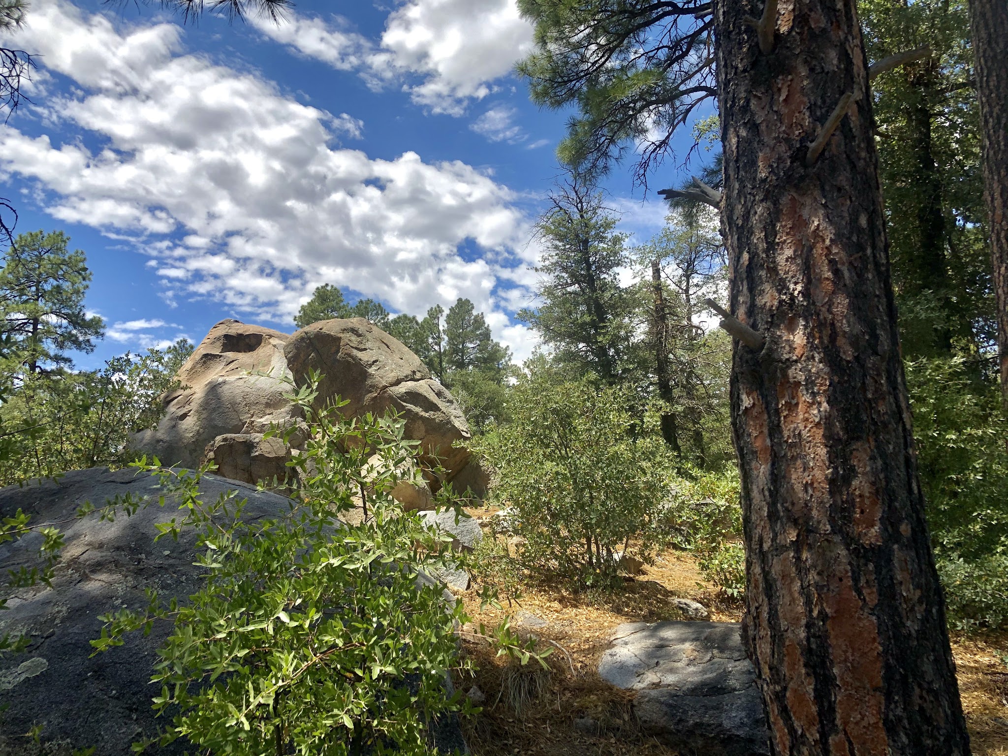 Powell Springs Campground