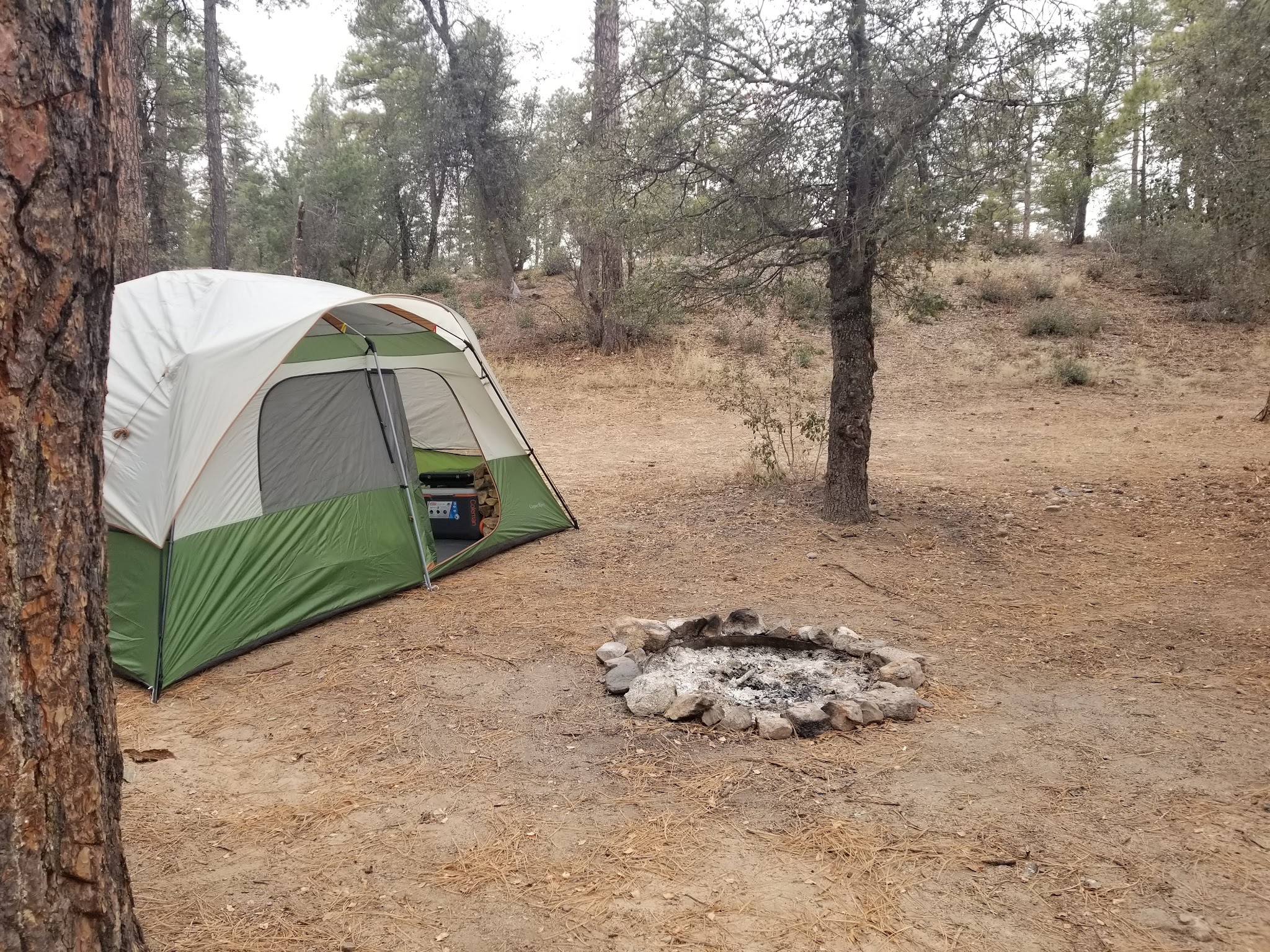 Powell Springs Campground