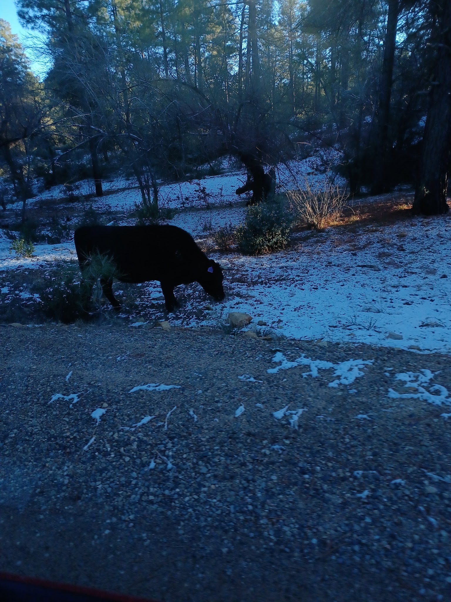 Powell Springs Campground