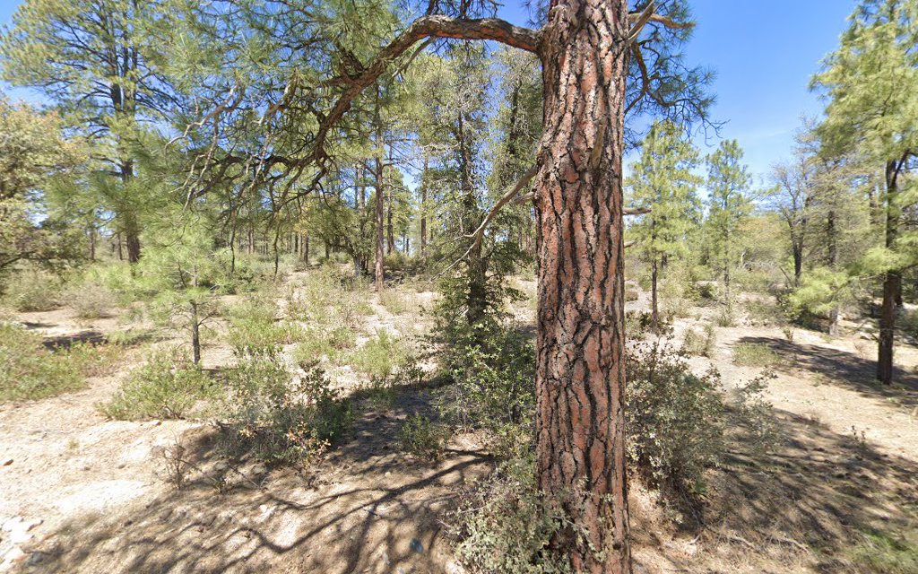 Powell Springs Campground