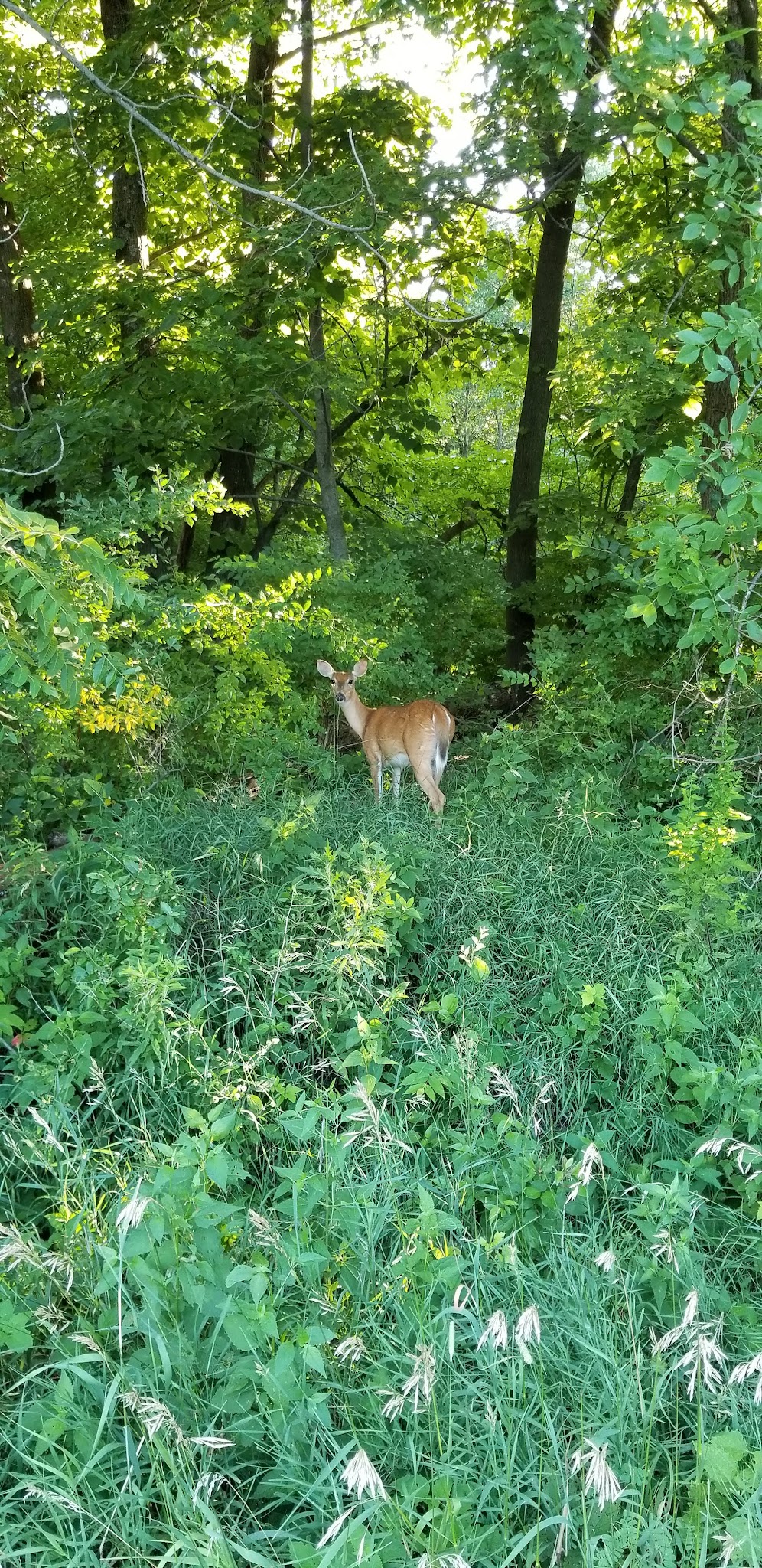 Prairie Flower Recreation Area