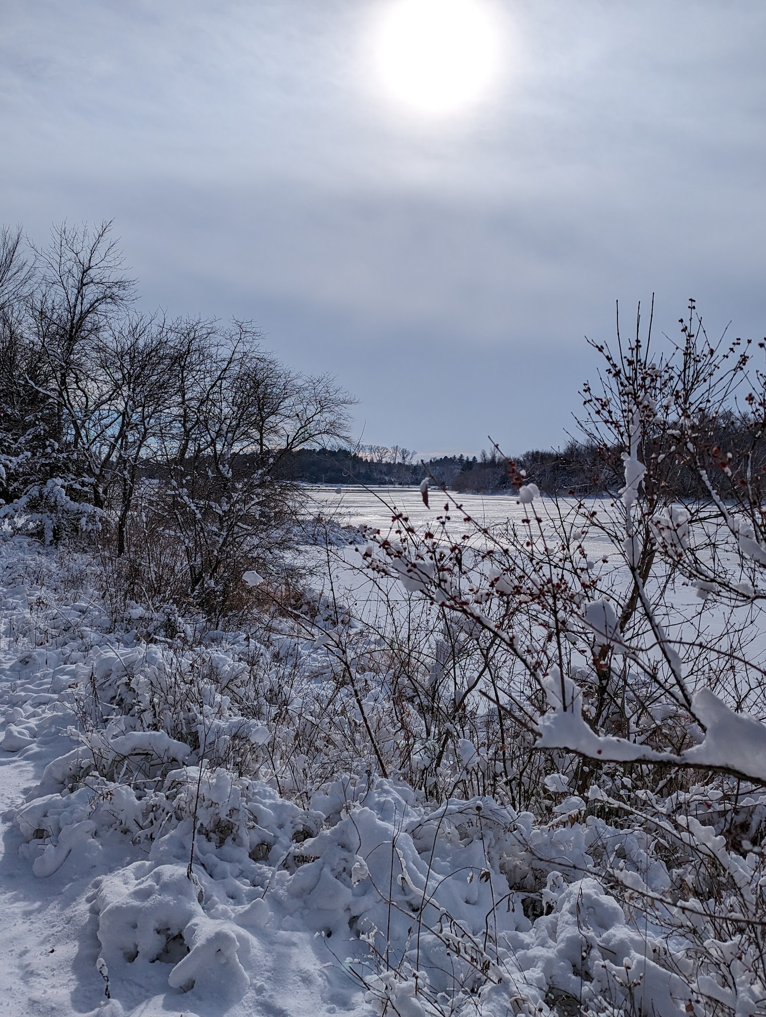Prairie Rose State Park