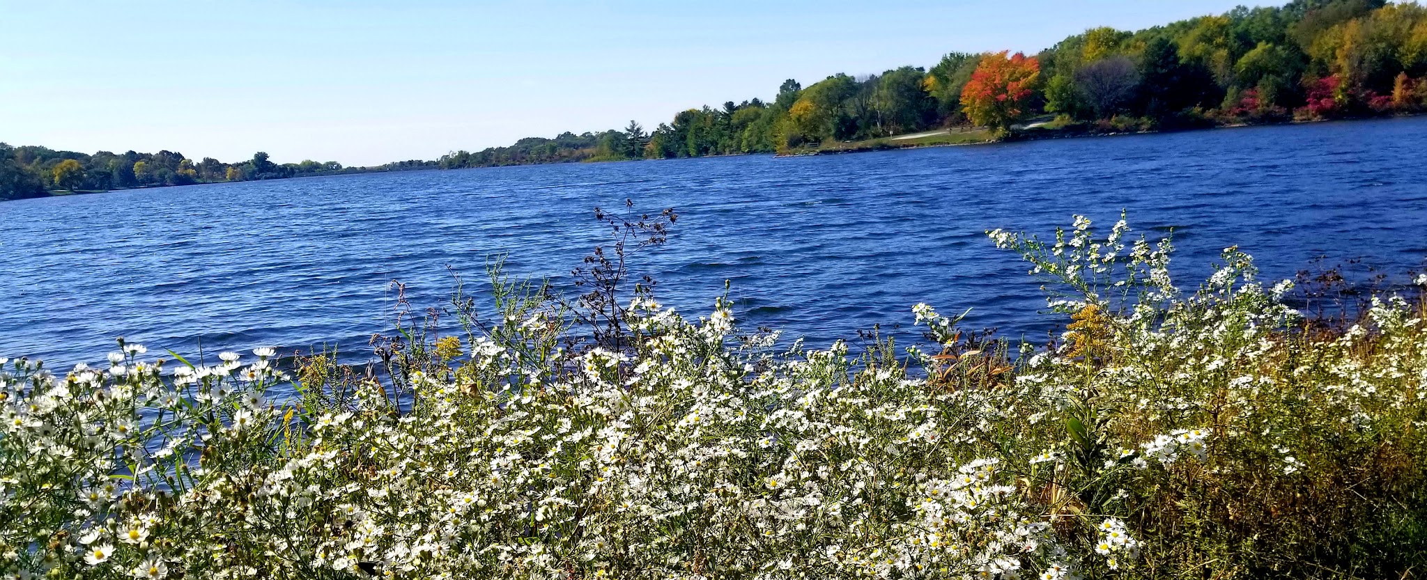 Prairie Rose State Park