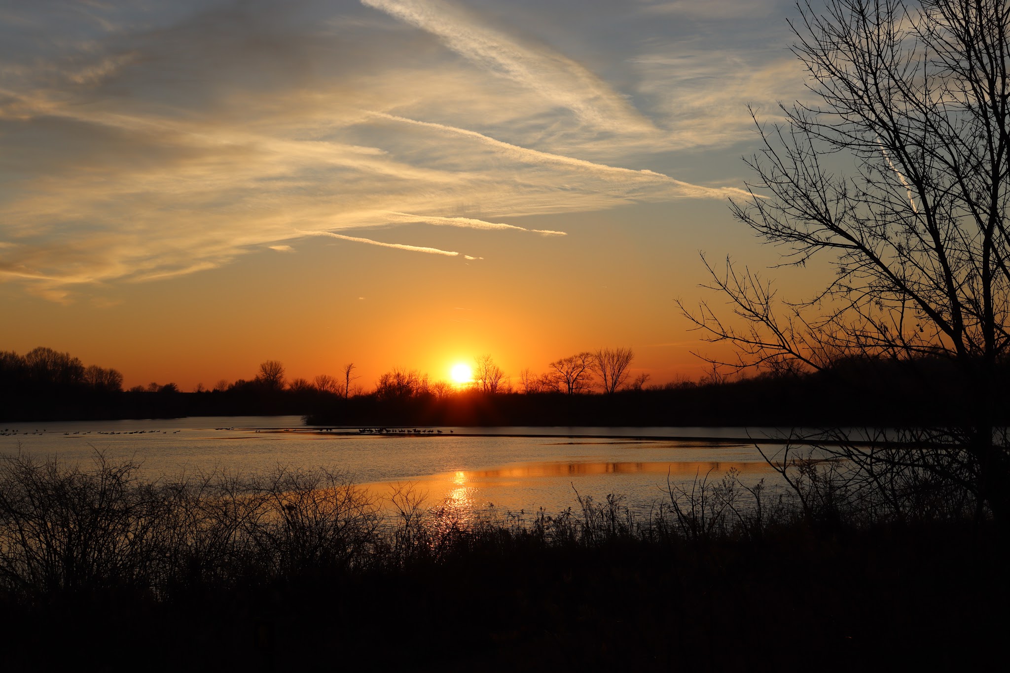 Prairie Rose State Park