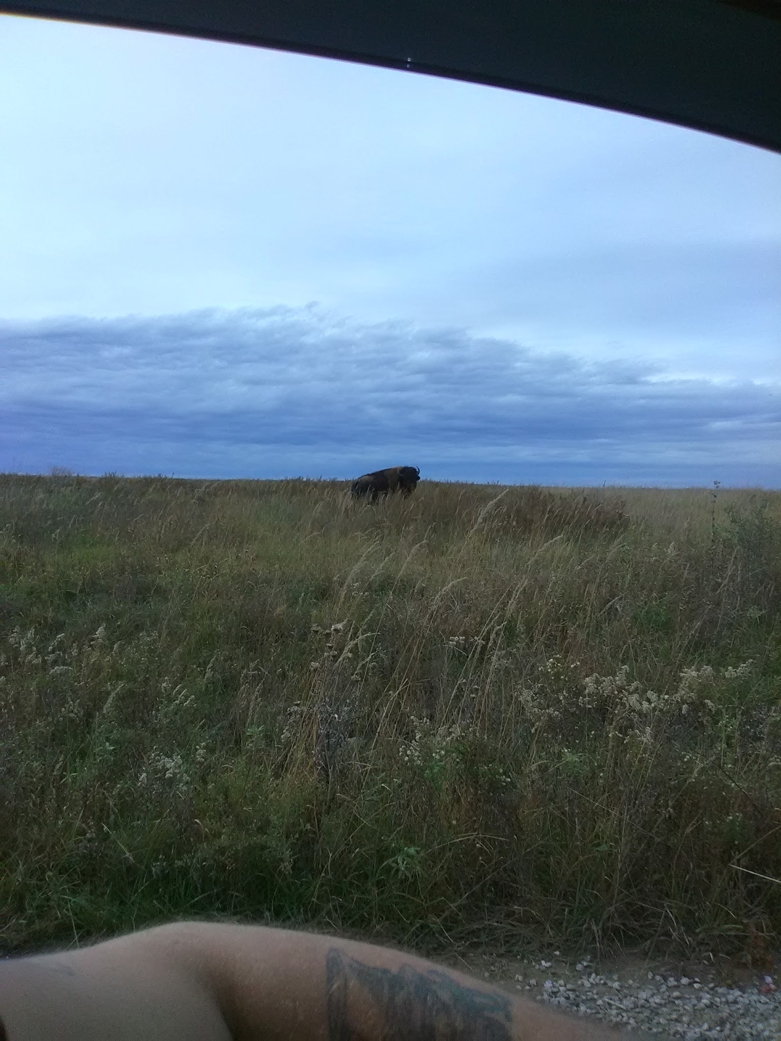 Prairie State Park Campground
