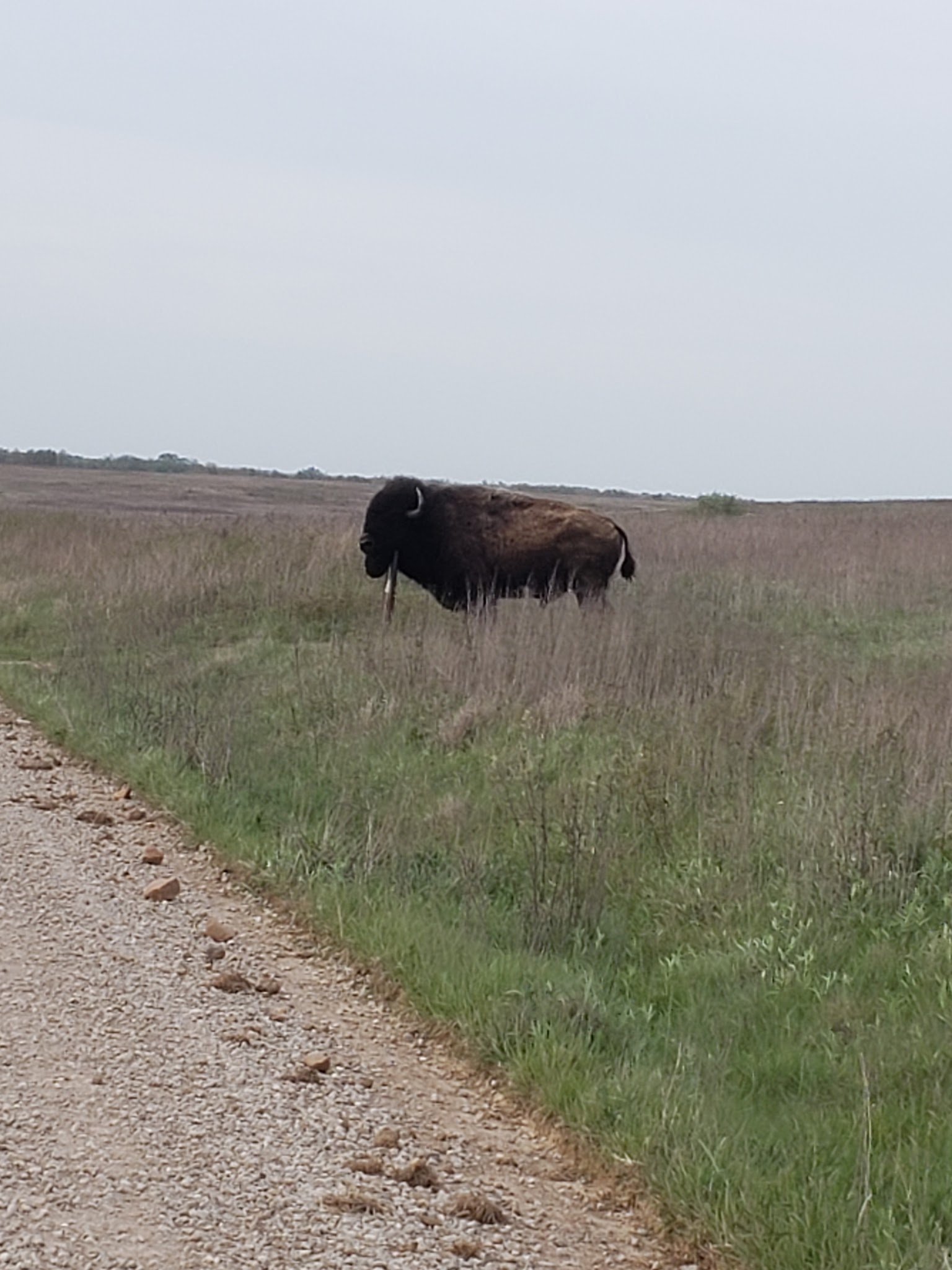 Prairie State Park Campground