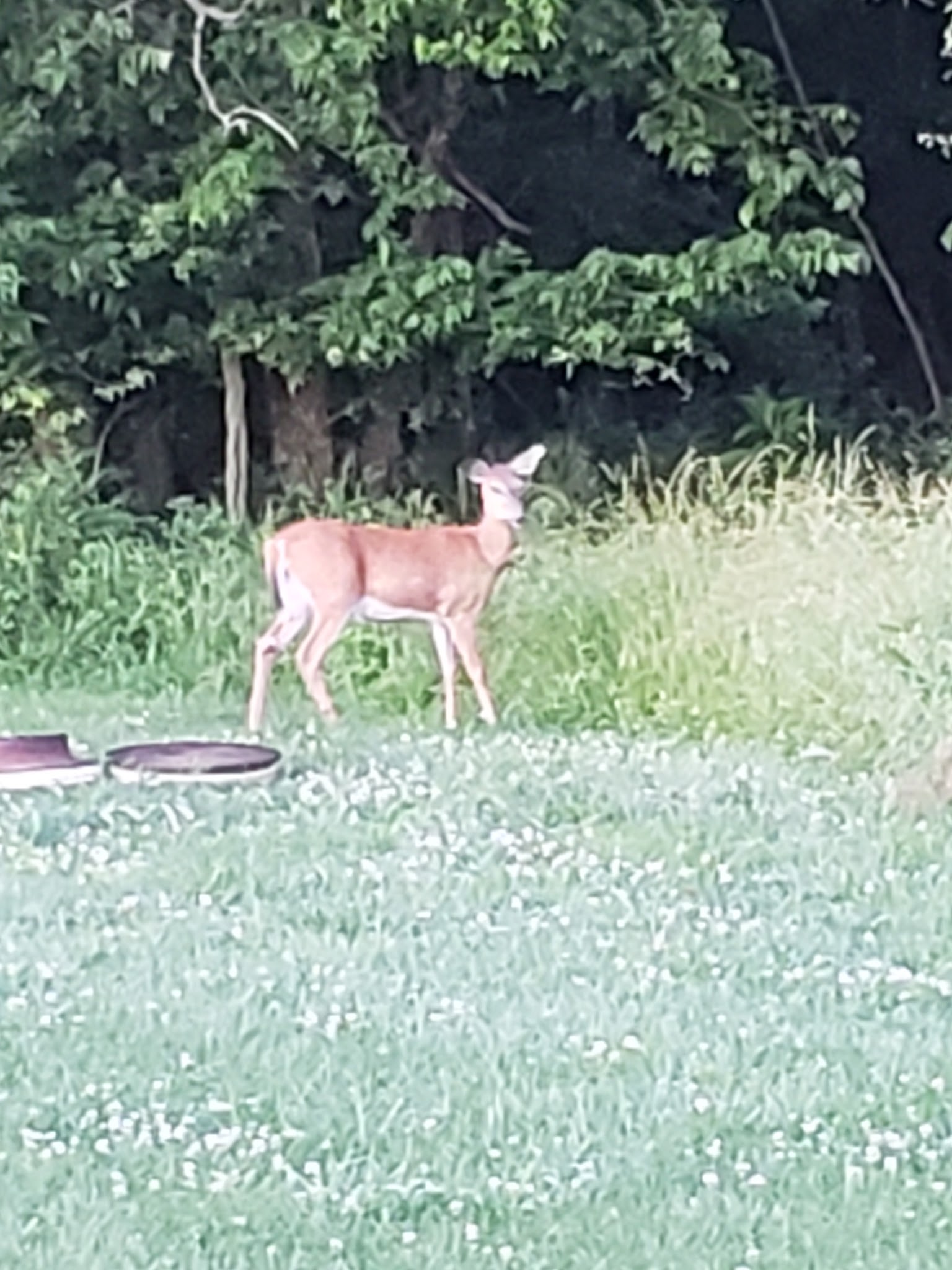 Prairie State Park Campground