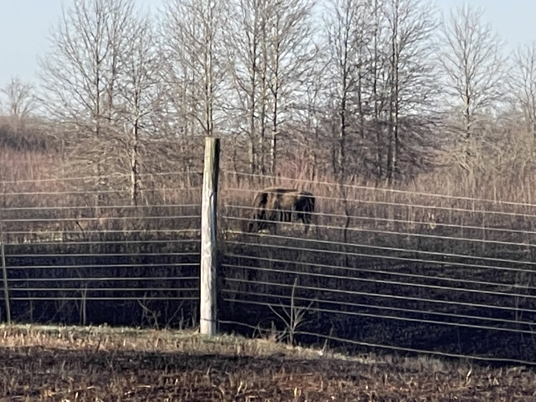 Prairie State Park Campground