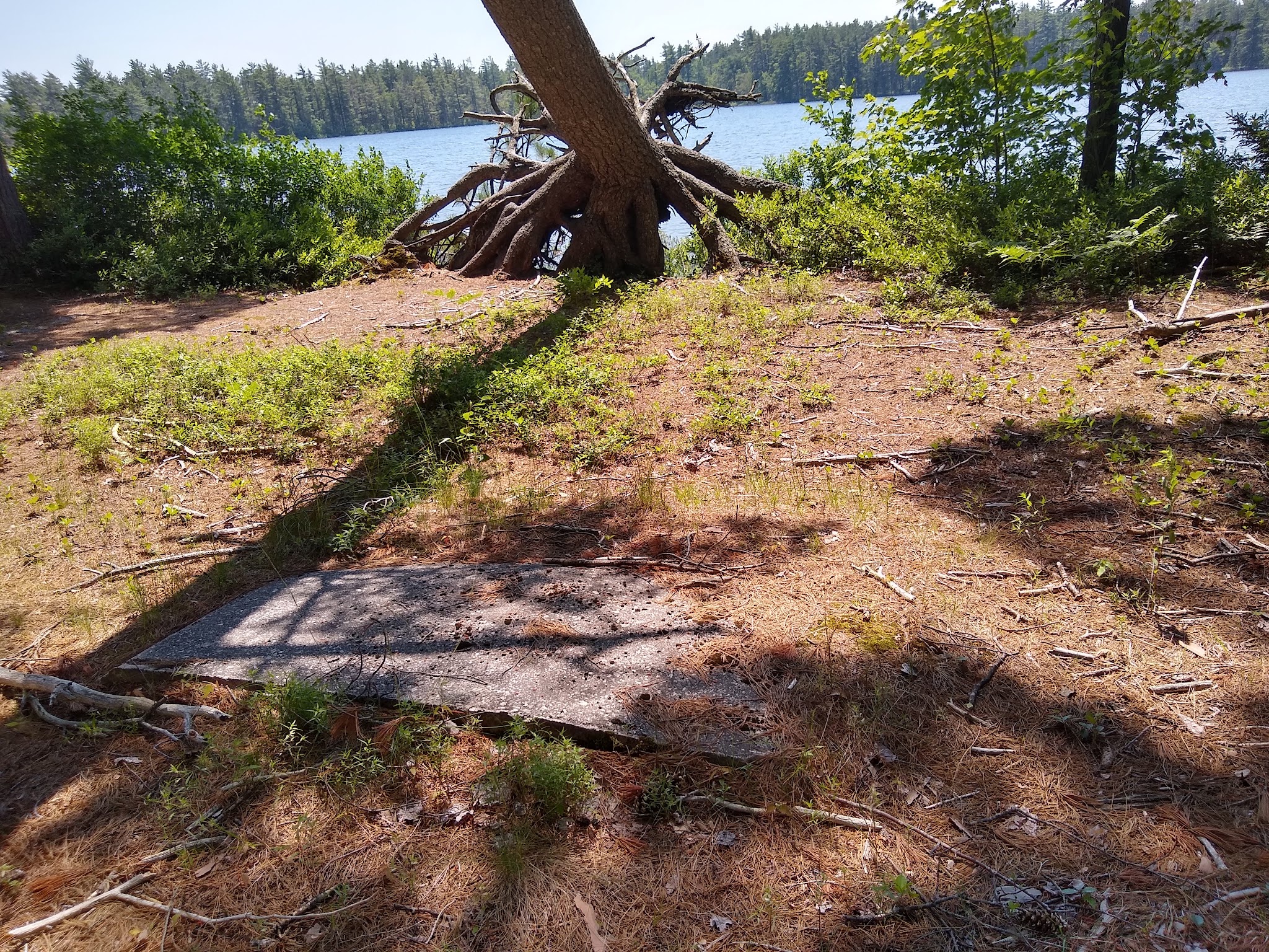 Pretty Lake State Forest Campground