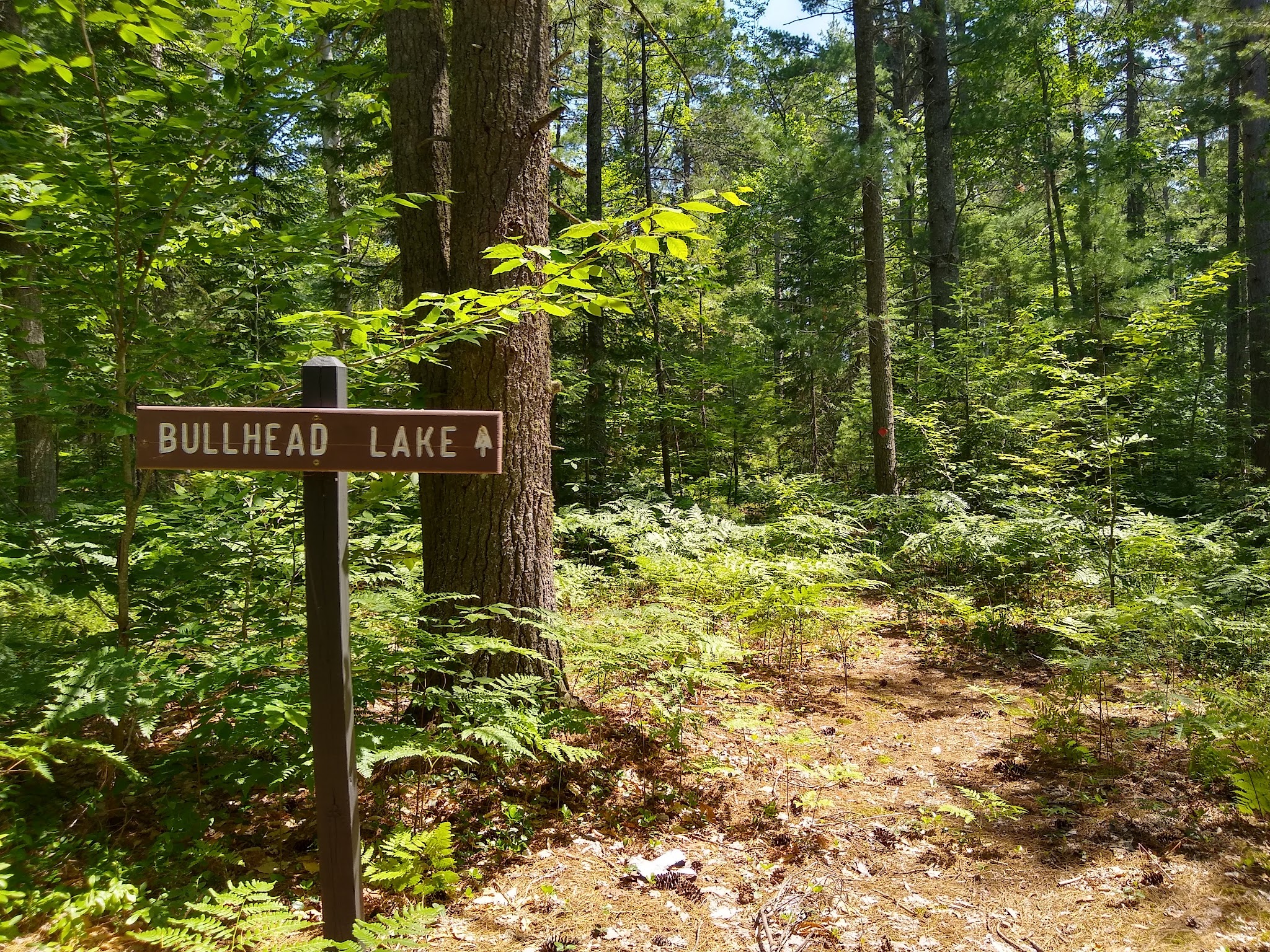 Pretty Lake State Forest Campground