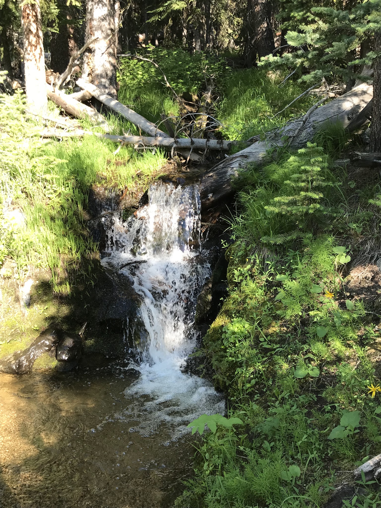 Price Creek Campground (Mt)