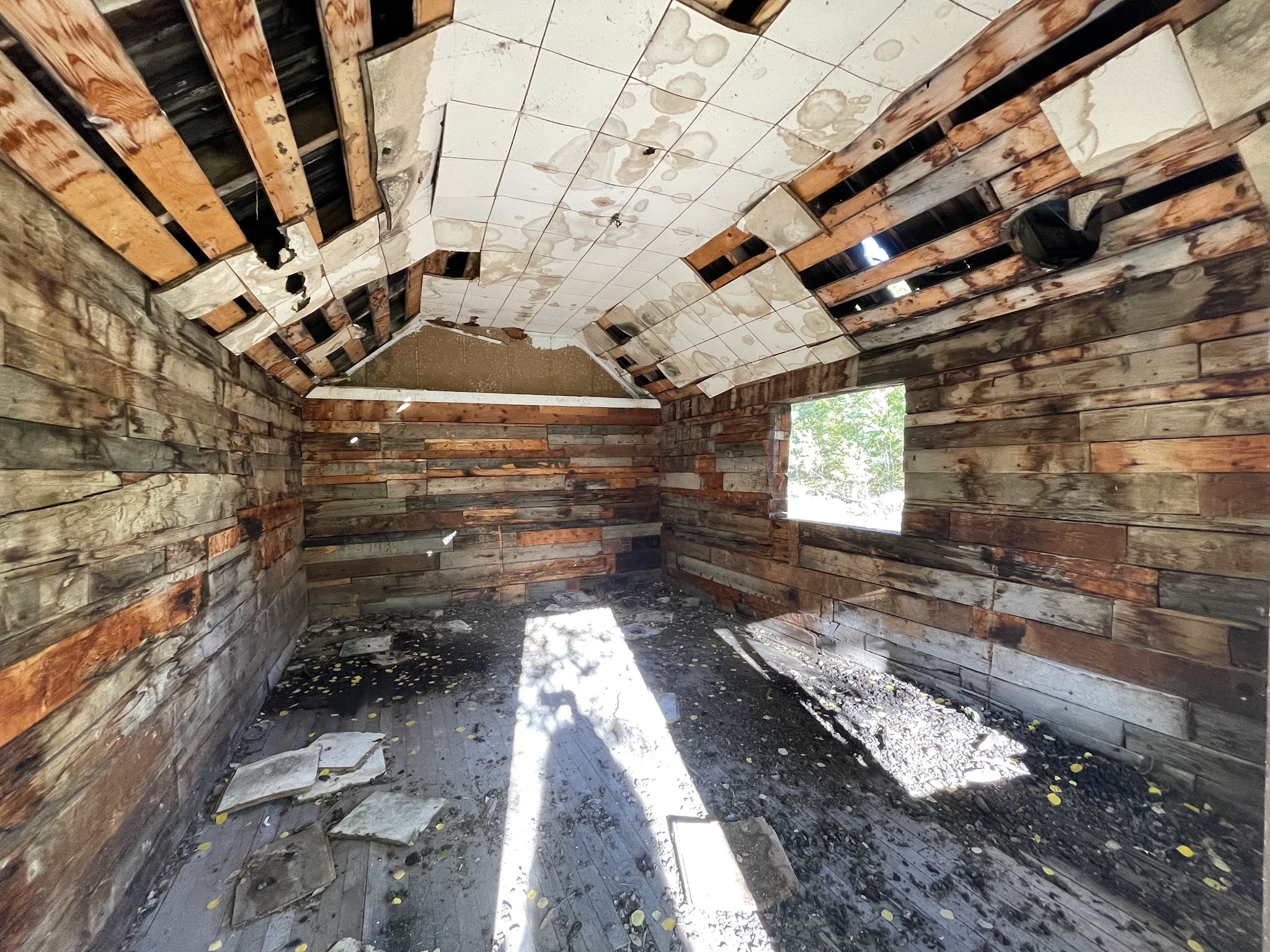 Priest Lake Designated Camping Area - Norwood Rd