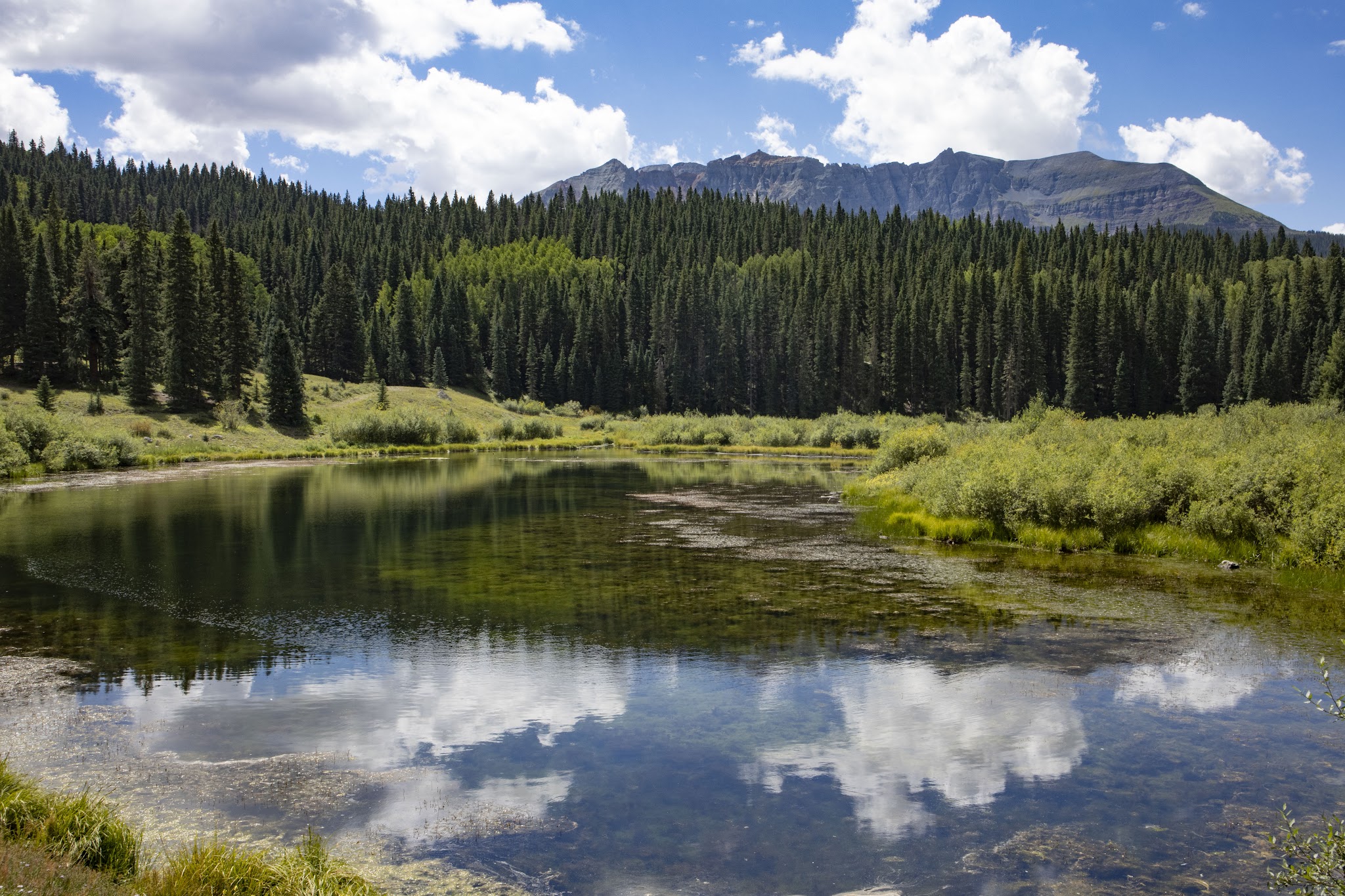 Priest Lake Designated Camping Area - Norwood Rd