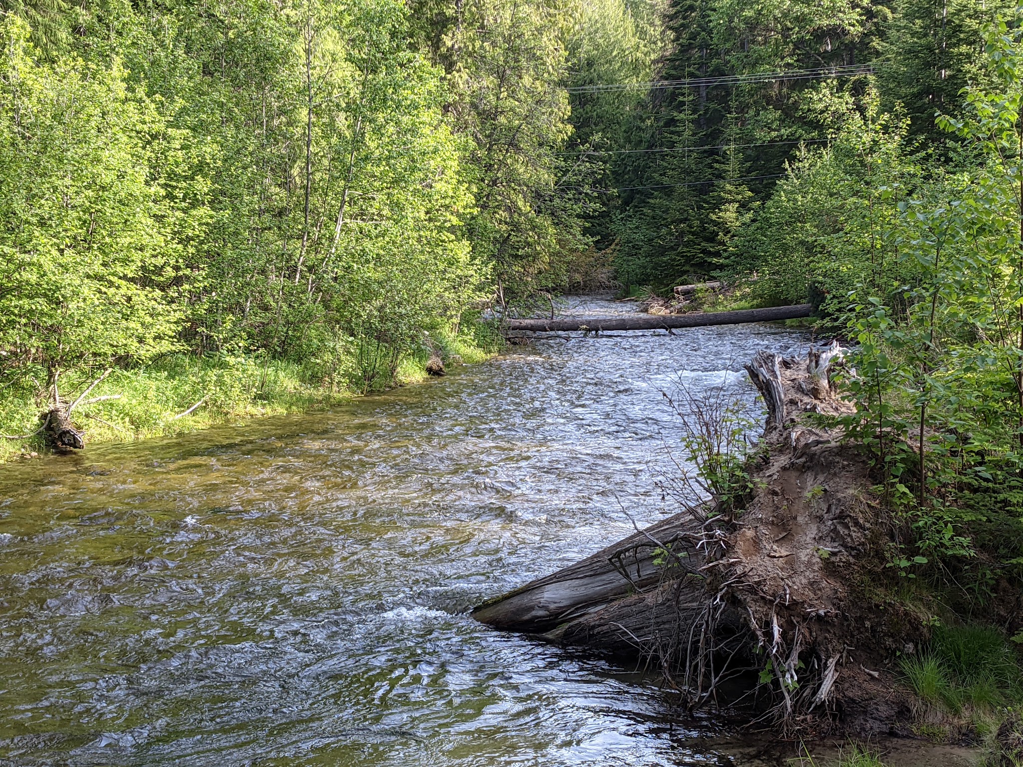Priest Lake State Park