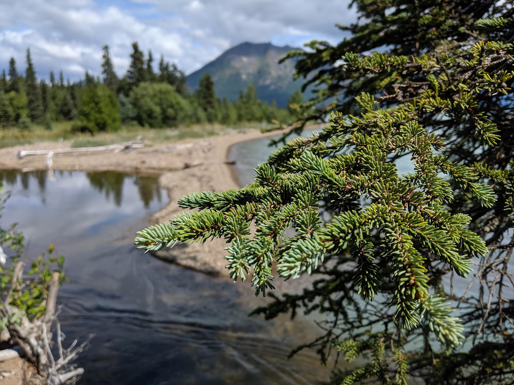Nps Priest Rock Public Use Cabin