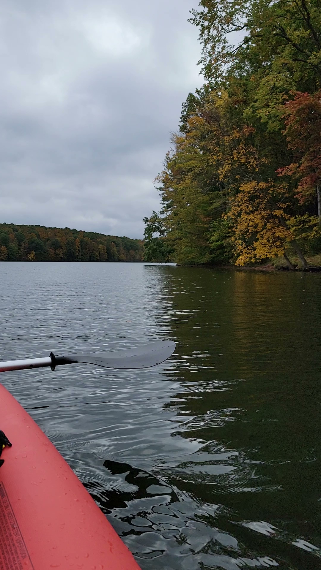 Prince Gallitzin State Park