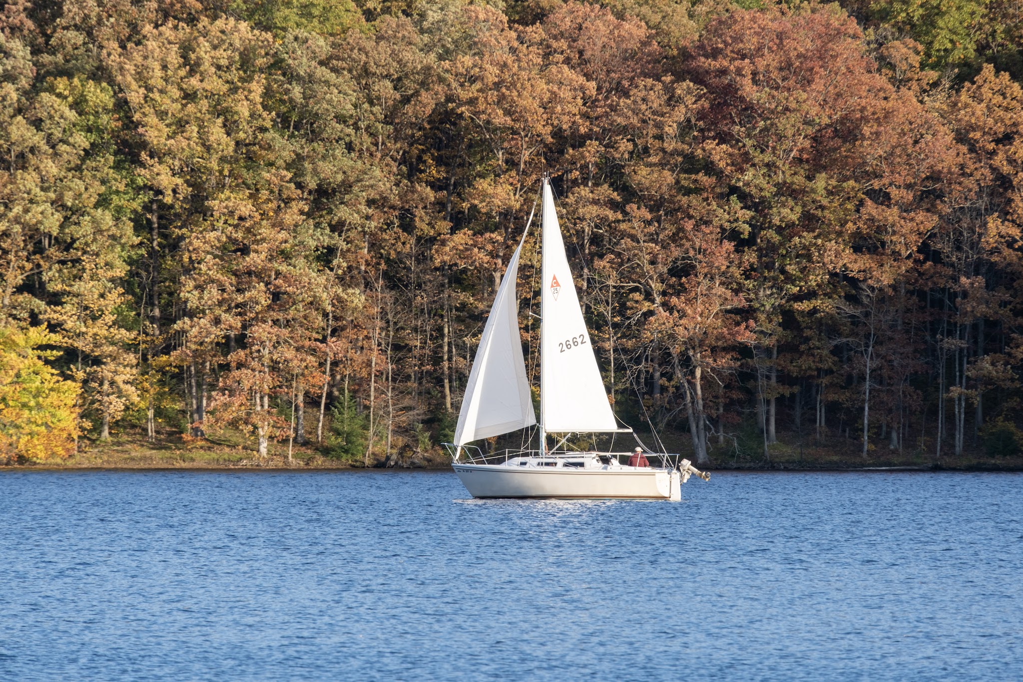 Prince Gallitzin State Park