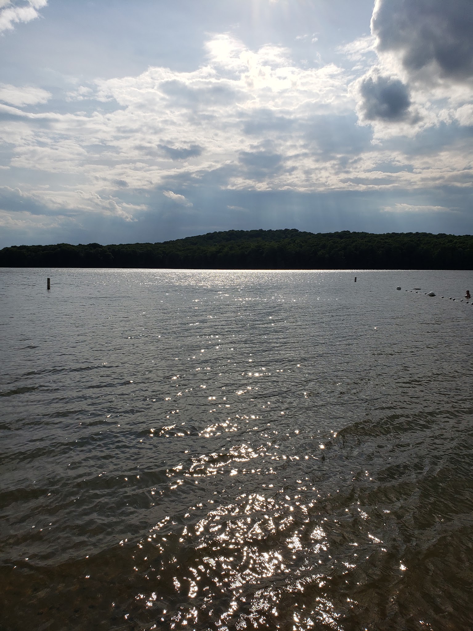 Prince Gallitzin State Park