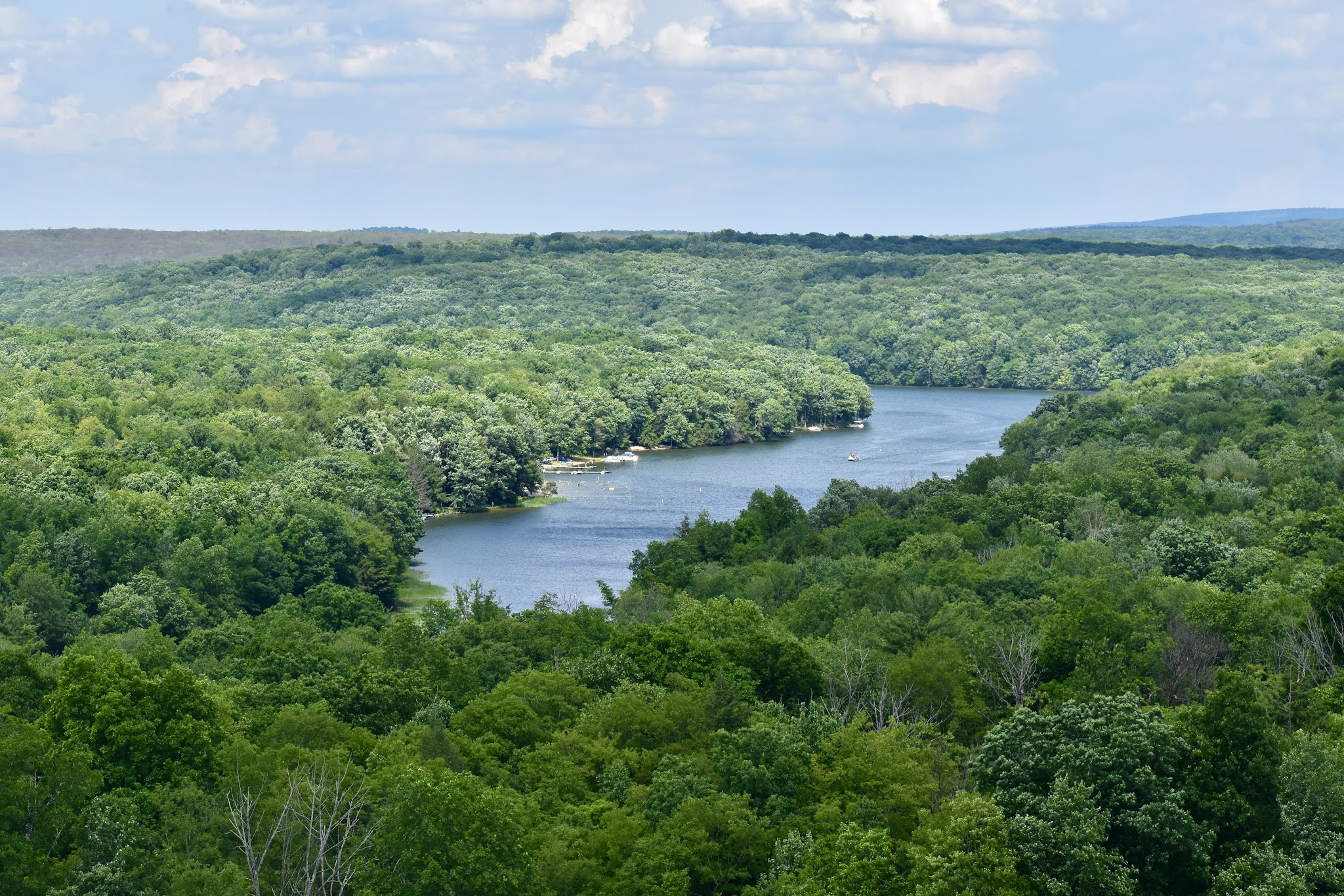 Prince Gallitzin State Park