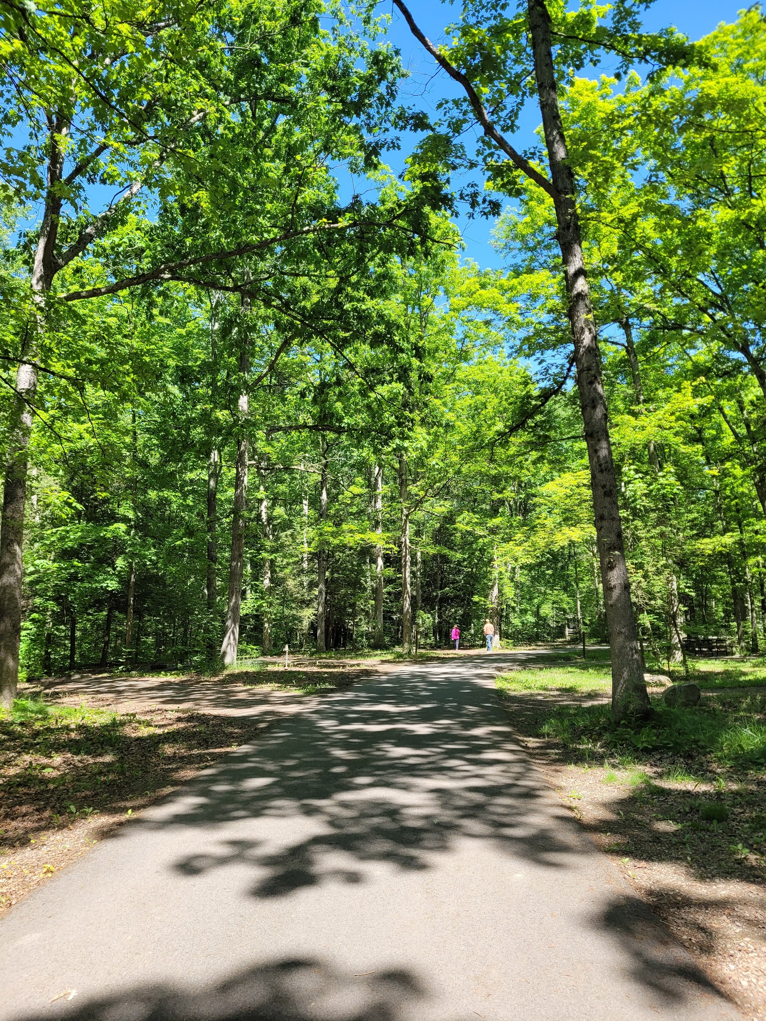 Prince Gallitzin State Park