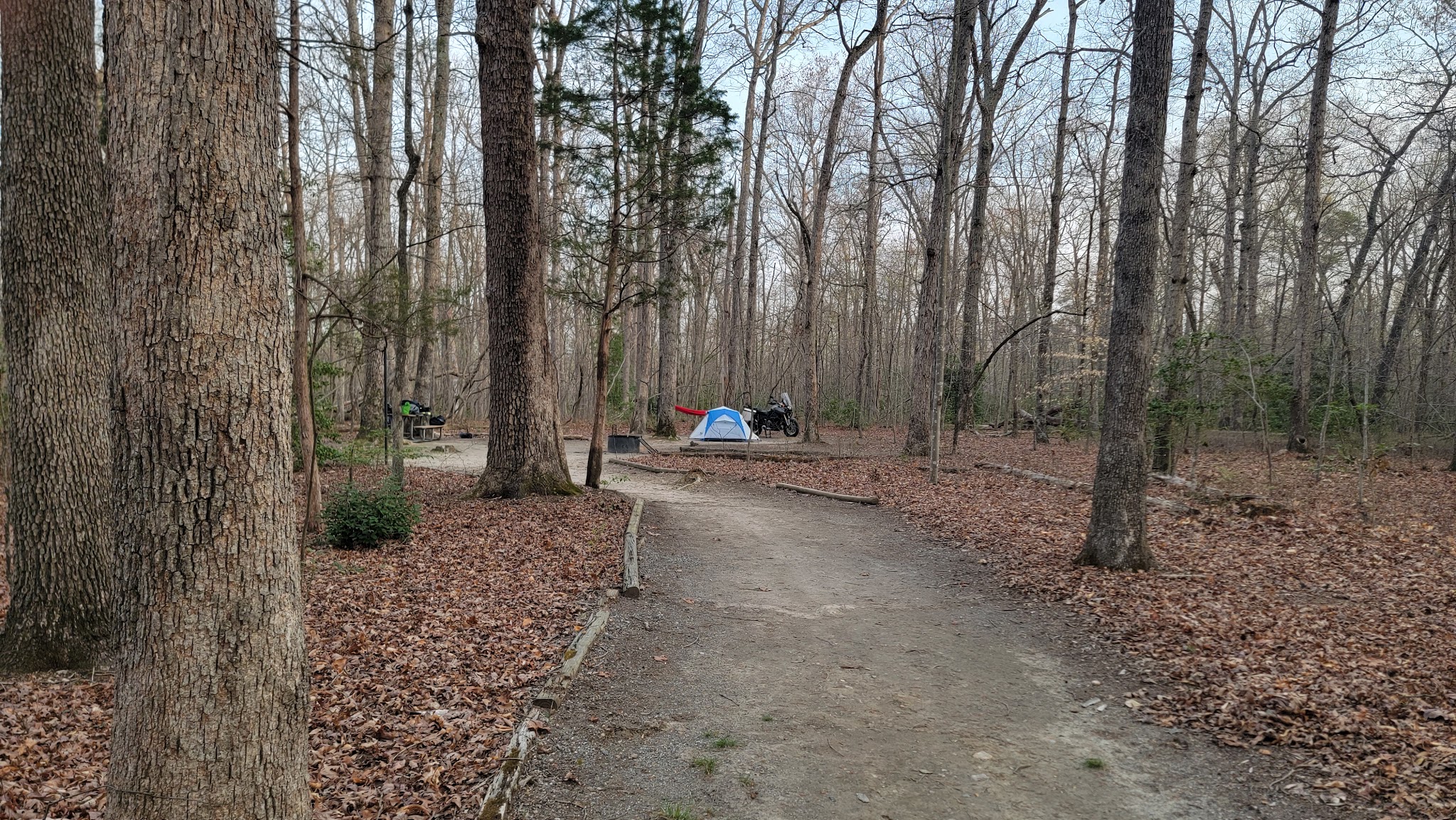 Prince William Forest Rv Campground