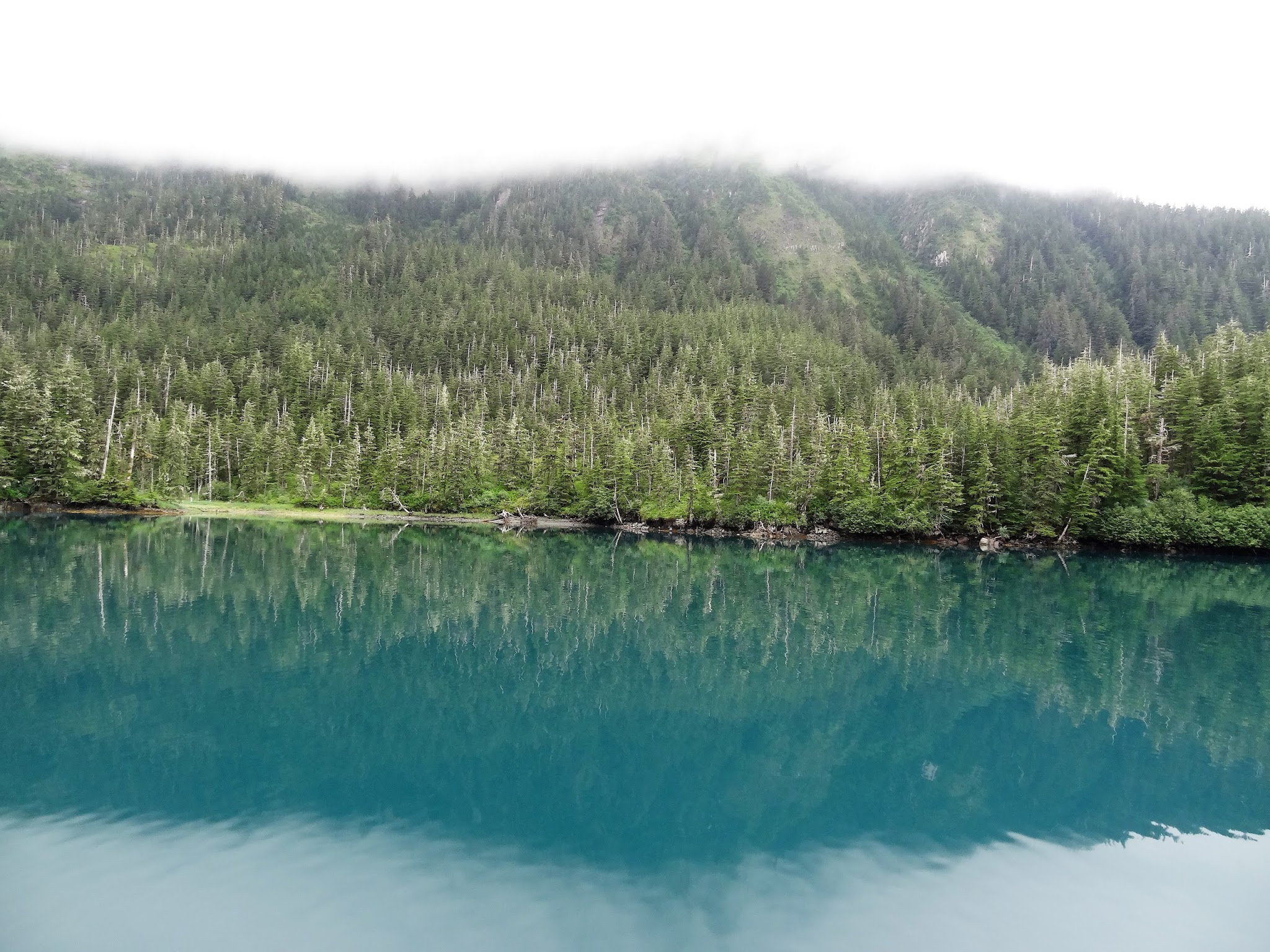 Prince William Sound